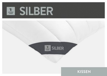 Baumwollkissen Silber, SPESSARTTRAUM, hergestellt in Deutschland, allergikerfreundlich