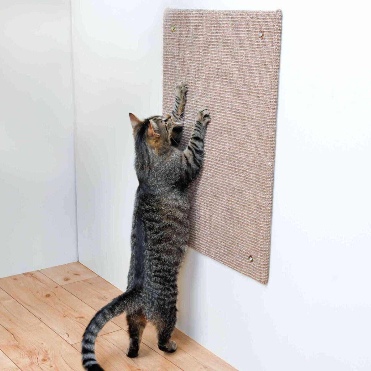 TRIXIE Katzen-Wandregal Kratzbrett XXL - taupe - 50 × 70 cm