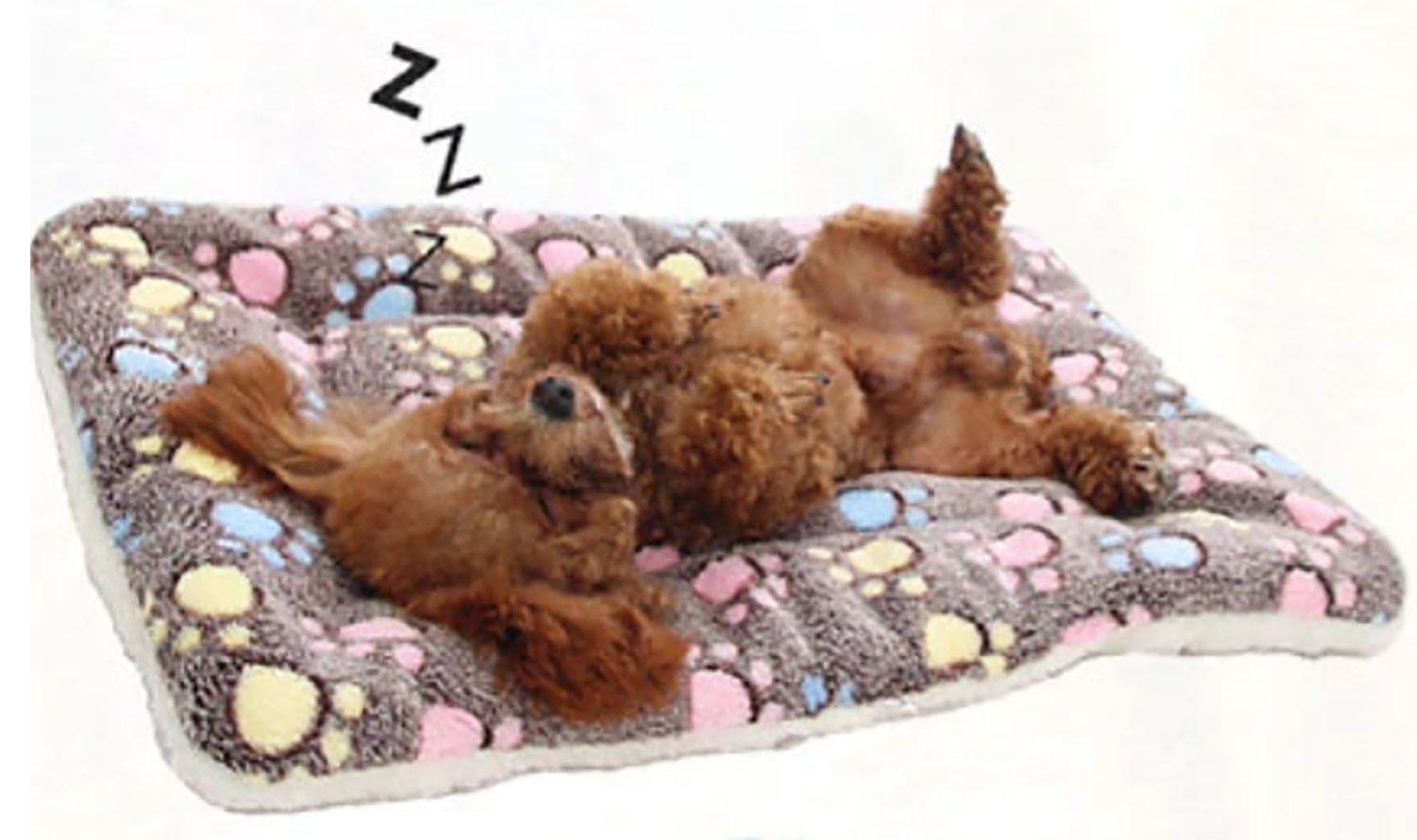 TPFLiving Tierdecke Wärmedecke für Hunde und Katzen - gemütliche warme Hundedecken, Katzendecken - Kuschelig Weich und Warm - Verschiedene Modelle