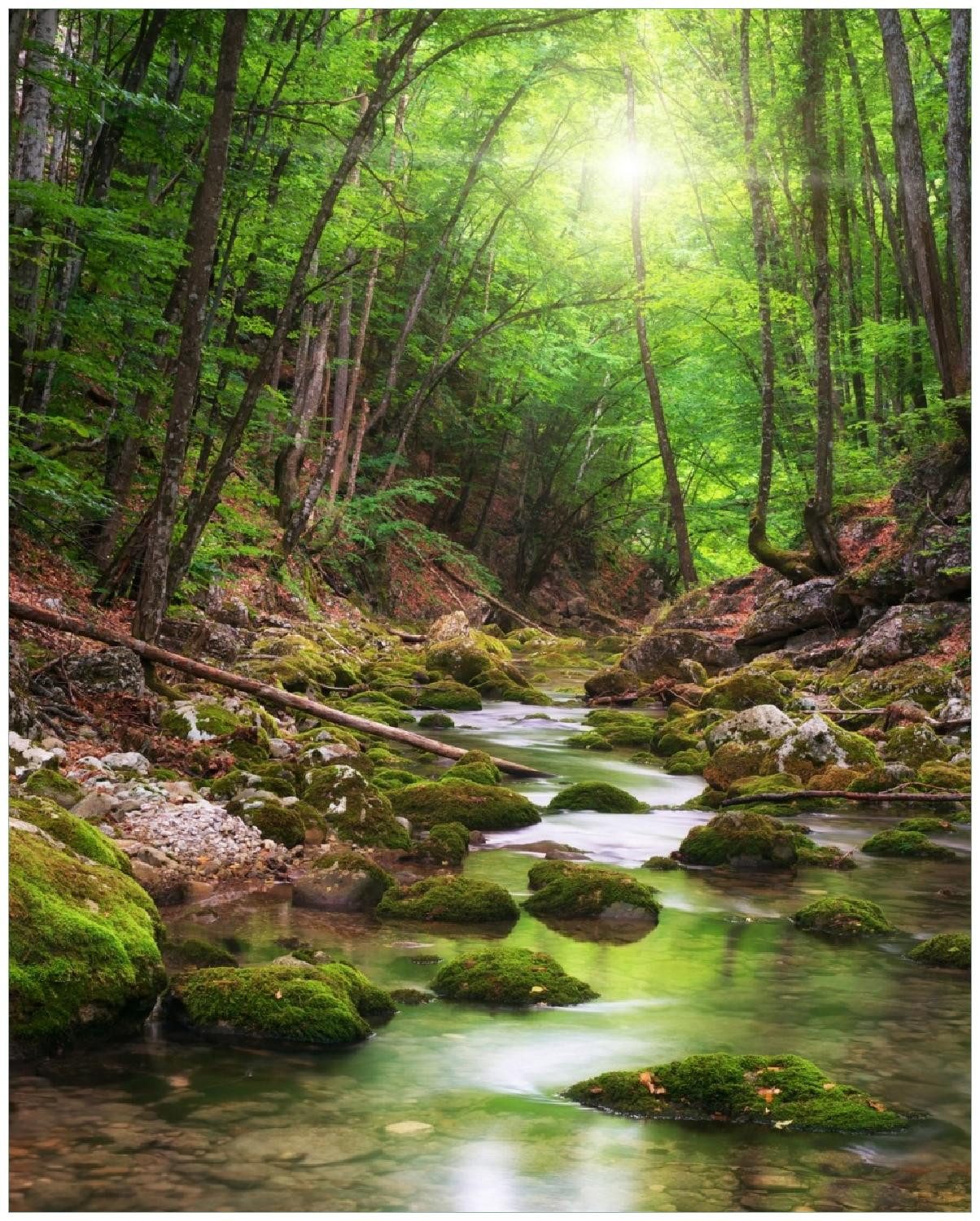 Wallario Poster, Fluss im Wald, in verschiedenen Ausführungen