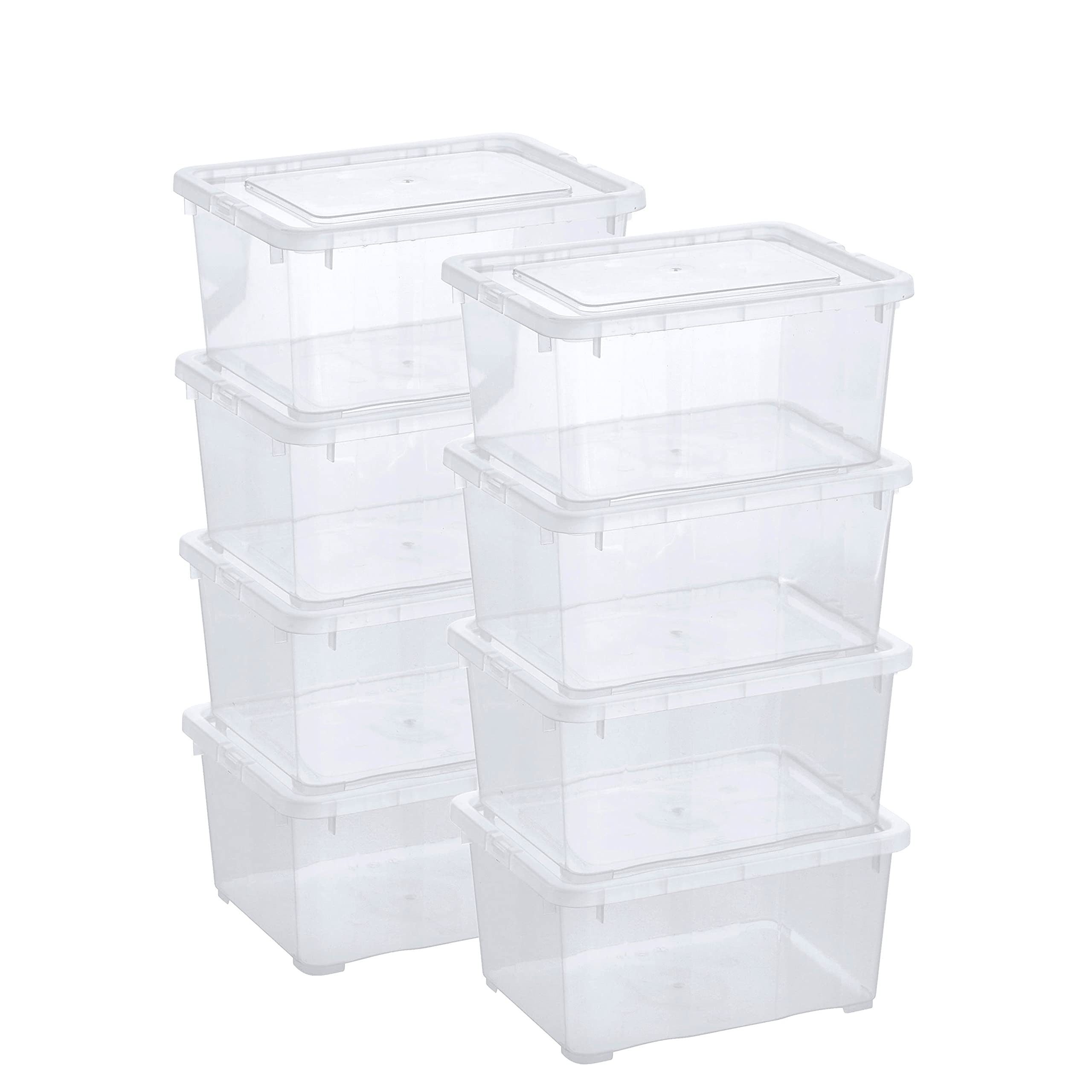 Grizzly Aufbewahrungsbox Kleine Klarsichtboxen mit Deckel, günstig online kaufen