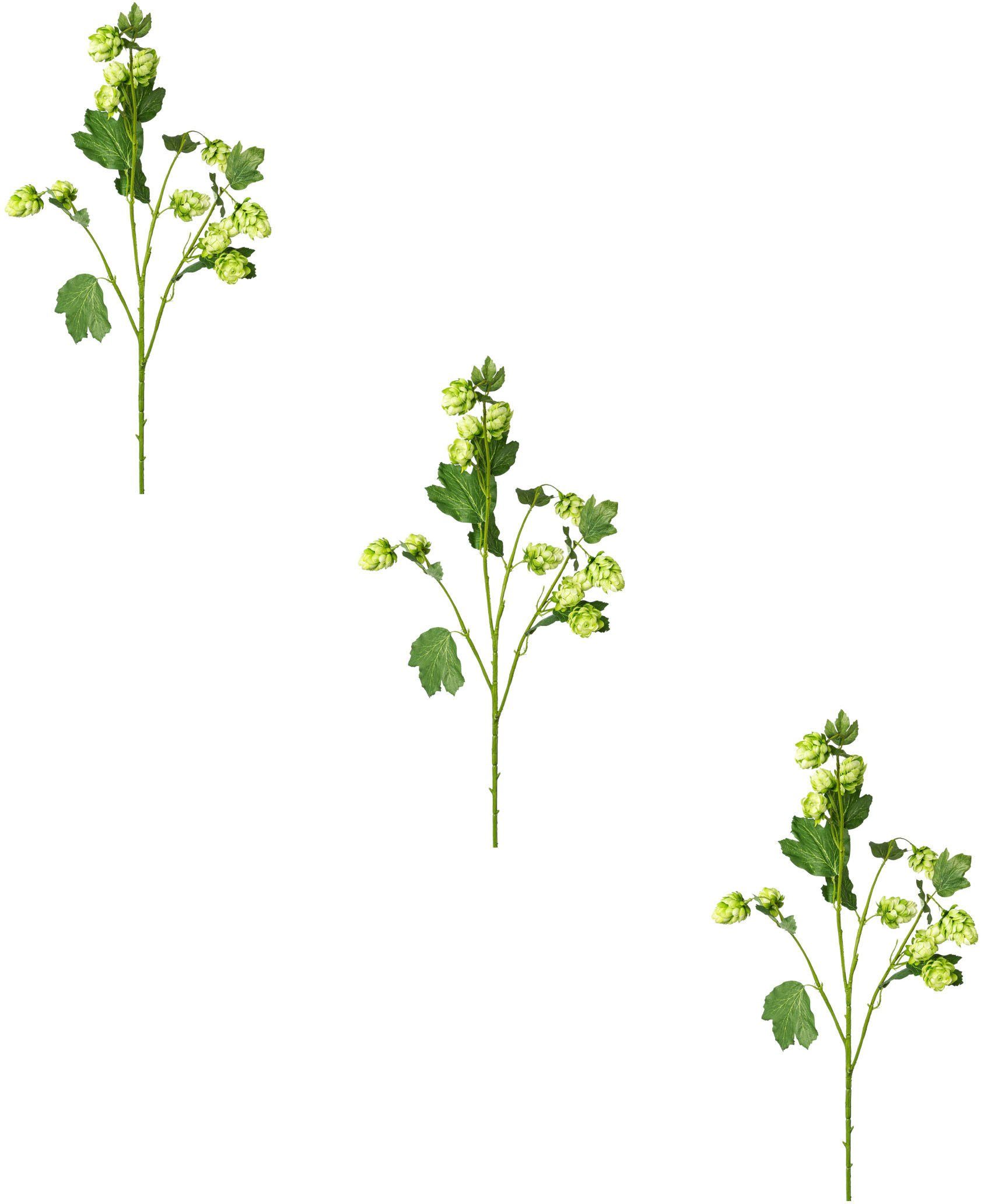 Kunstzweig Hopfen