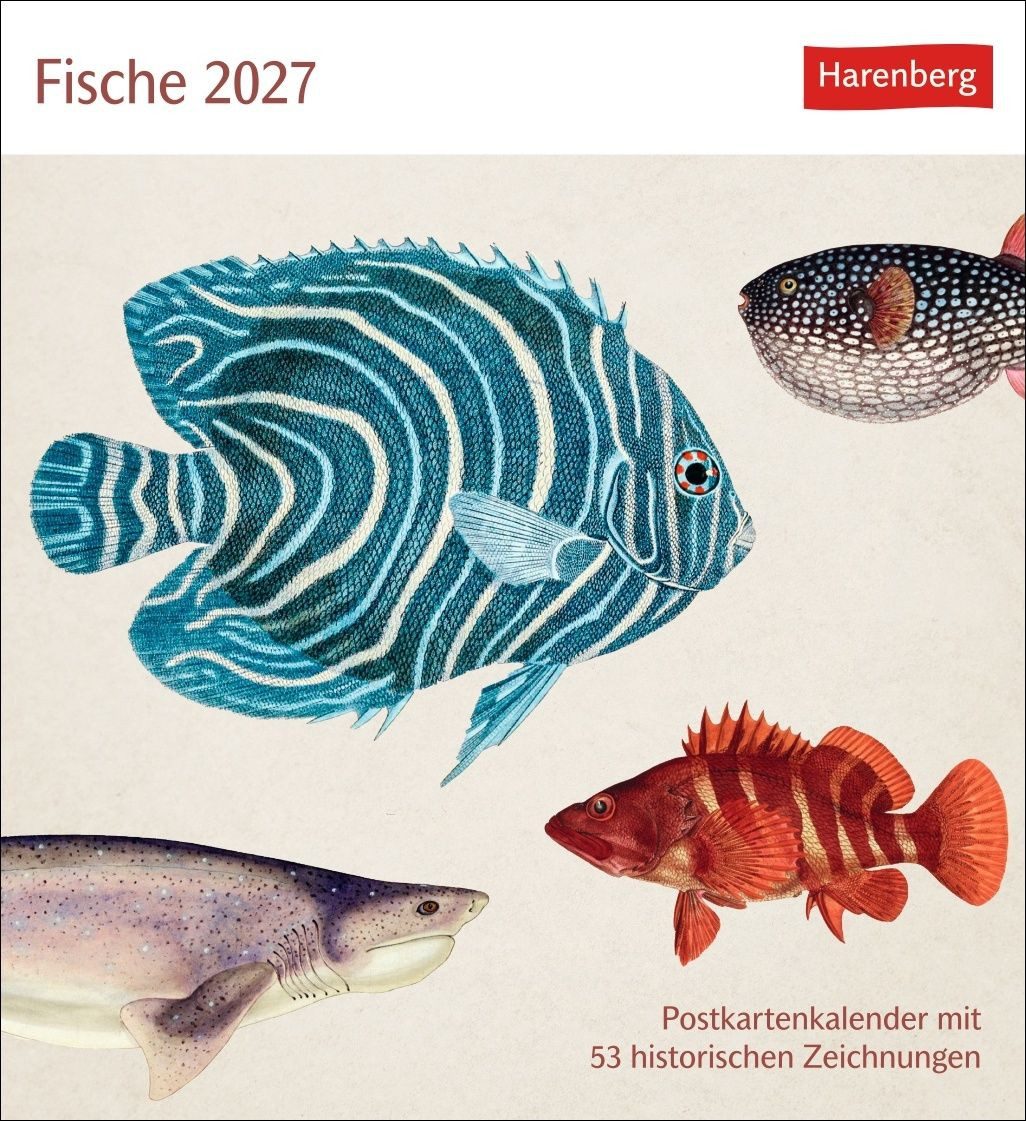 Terminplaner Fische Postkartenkalender 2027 - Postkartenkalender mit 53 historische