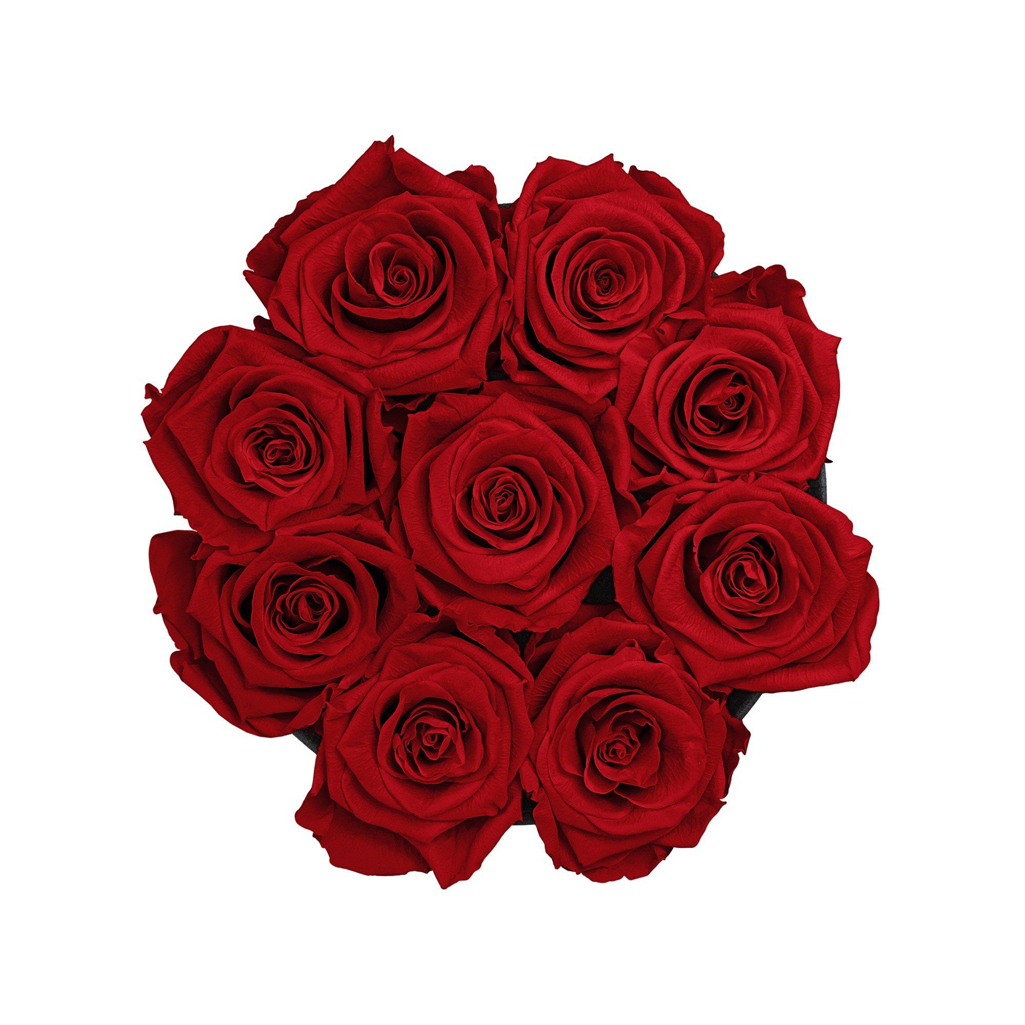 Kunstblume Runde Rosenbox in schwarz Richter Holy 3 Echte, Red Infinity Raul Flowers, Blumen I duftende haltbar Rose, 8- Höhe mit 14 I Jahre cm Infinity Rosen konservierte Heritage I by 12