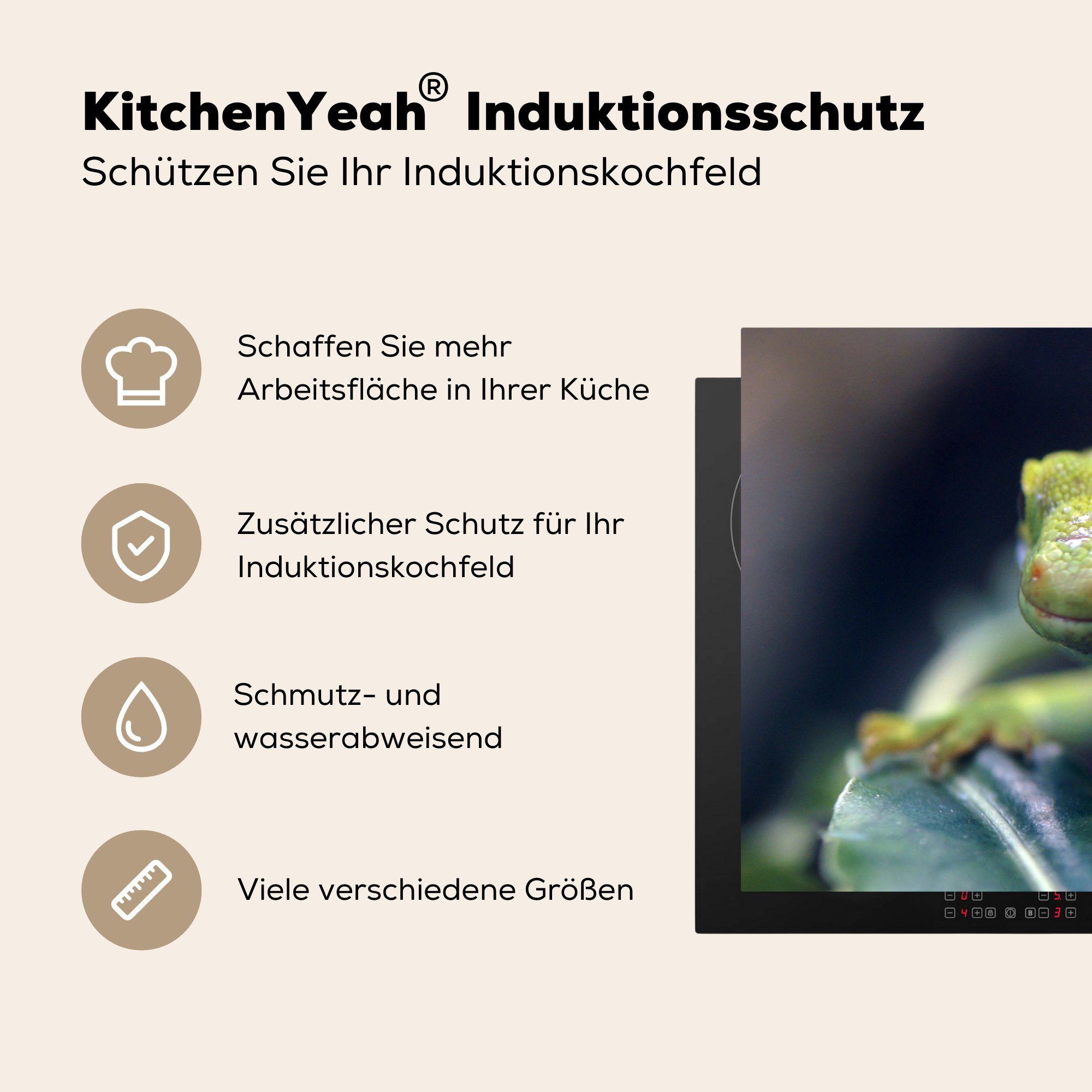 MuchoWow Herdblende-/Abdeckplatte Grüner Gecko auf einem die cm, 81x52 (1 Vinyl, Schutz Ceranfeldabdeckung Blatt, für Induktionskochfeld tlg), küche
