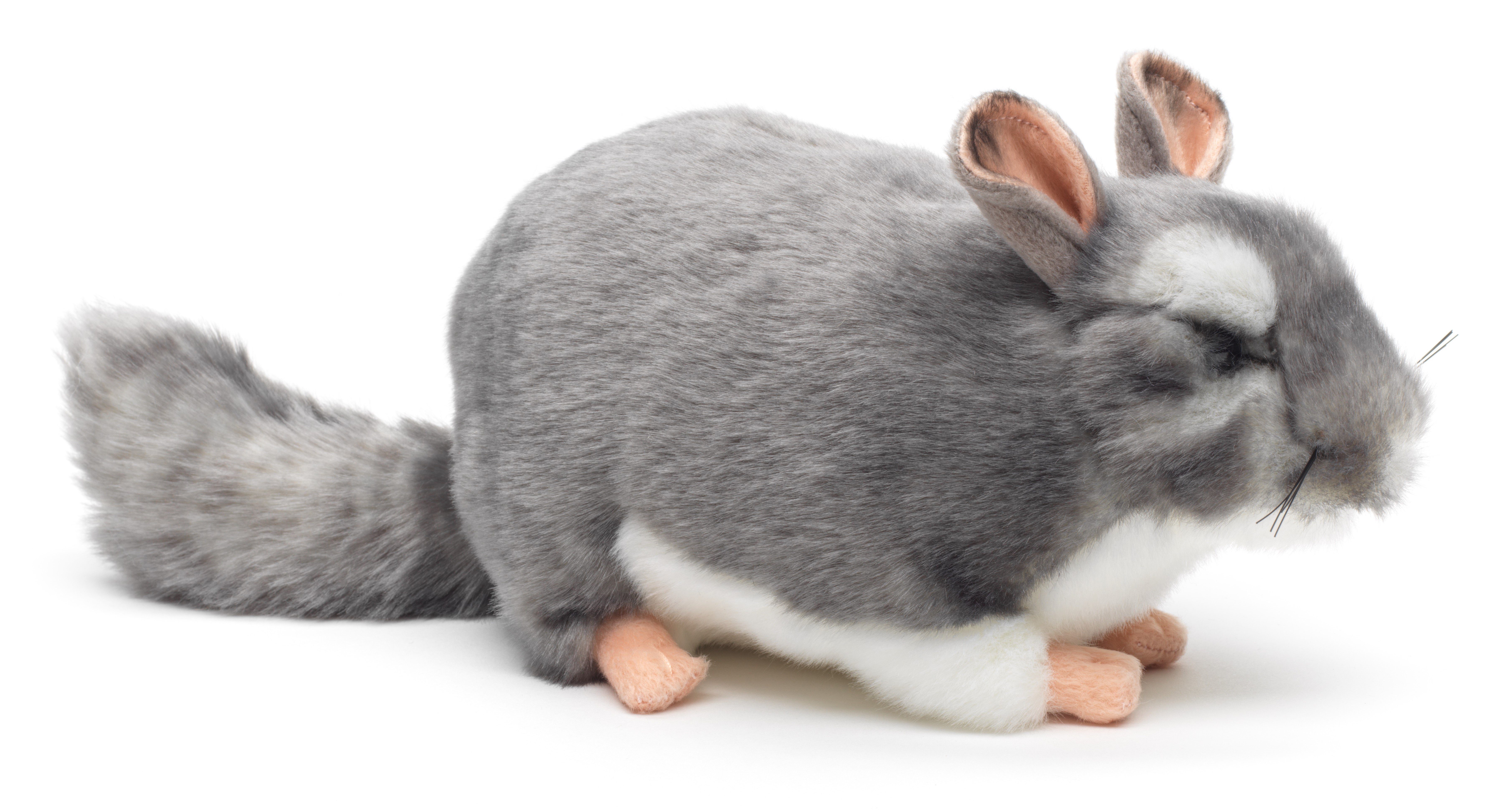 Uni-Toys Kuscheltier Chinchilla grau - 22 cm (Länge) - Plüsch-Nagetier - Plüschtier, zu 100 % recyceltes Füllmaterial