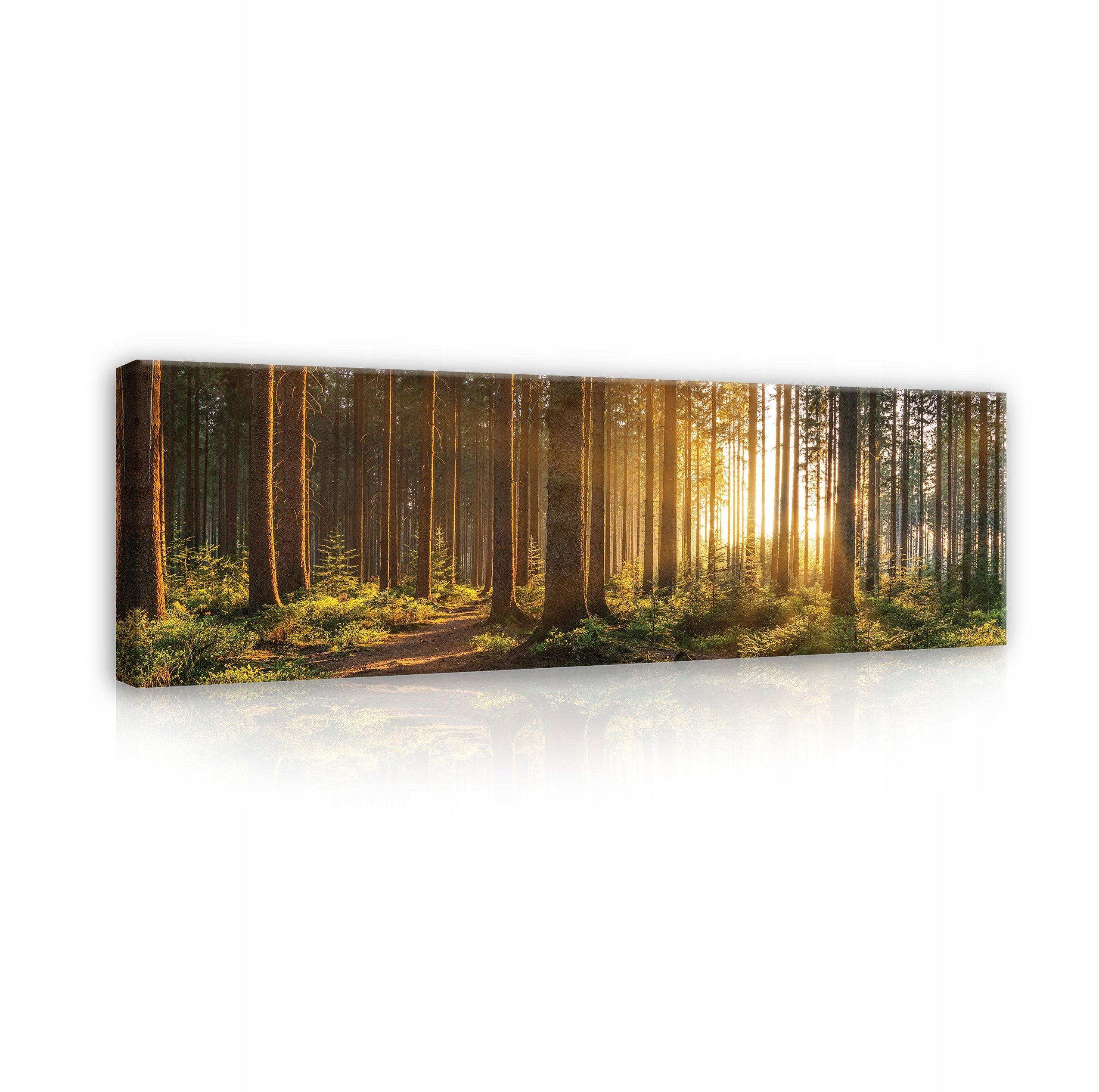 Wallarena Leinwandbild Wald Landschaft Natur Wandbild 145x45 cm Groß XXL Wandbilder Leinwandbilder Modern Canvas Kunstdruck Bild Auf Leinwand Bilder Panoramabild für Wohnzimmer Schlafzimmer, Wald (Einteilig), Aufhängefertig