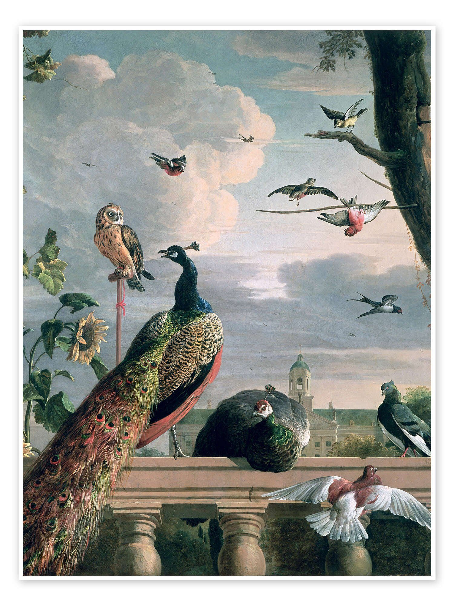 Posterlounge Wandbild Palast von Amsterdam mit exotischen Vögeln, Melchior de Hondecoeter, erhältlich als Poster, Leinwandbild, Wandsticker oder Acrylglasbild