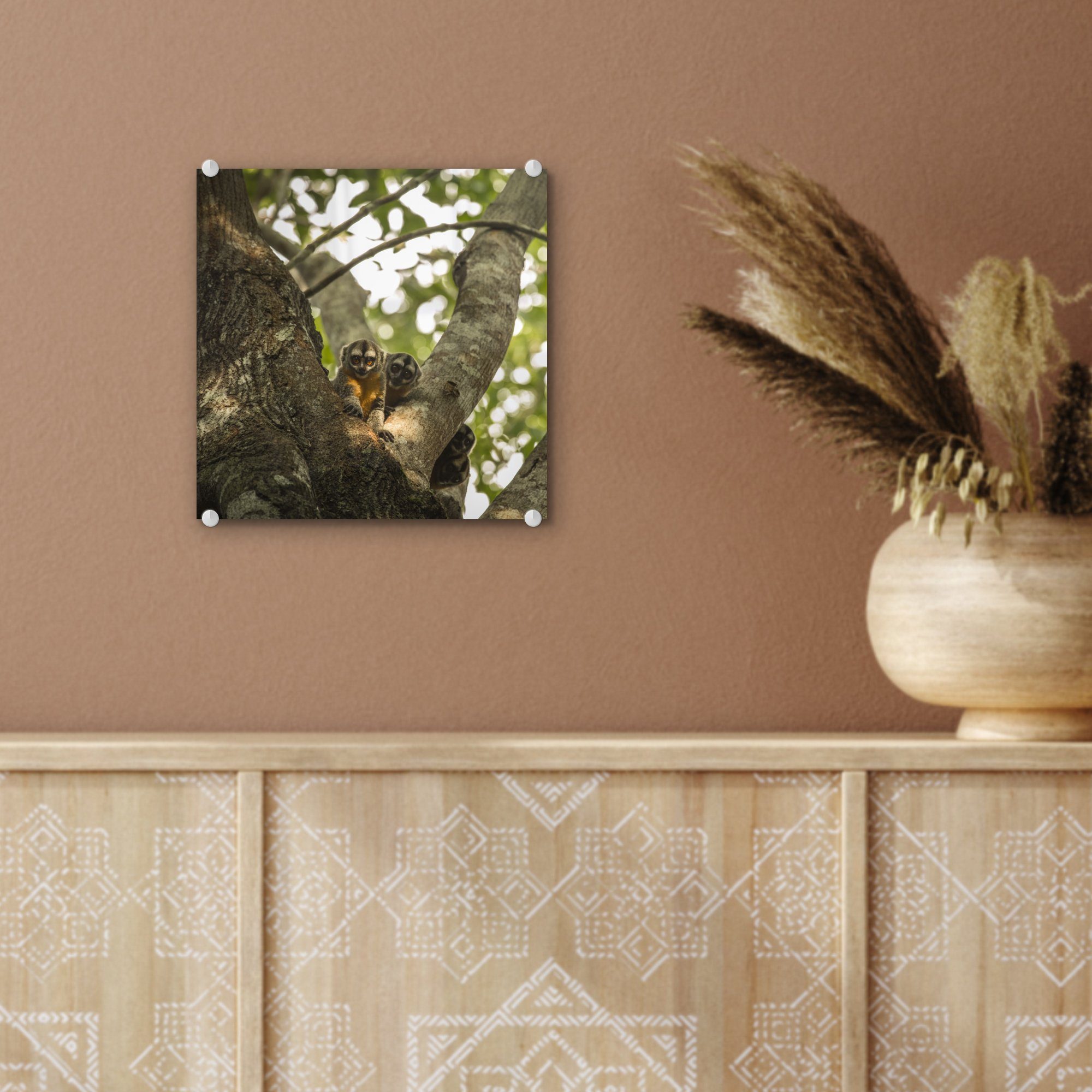 Tiere Acrylglasbild Foto St), Baum, Kleine Glas - auf (1 Wandbild Glas - Bilder auf einem Wanddekoration Glasbilder - MuchoWow in
