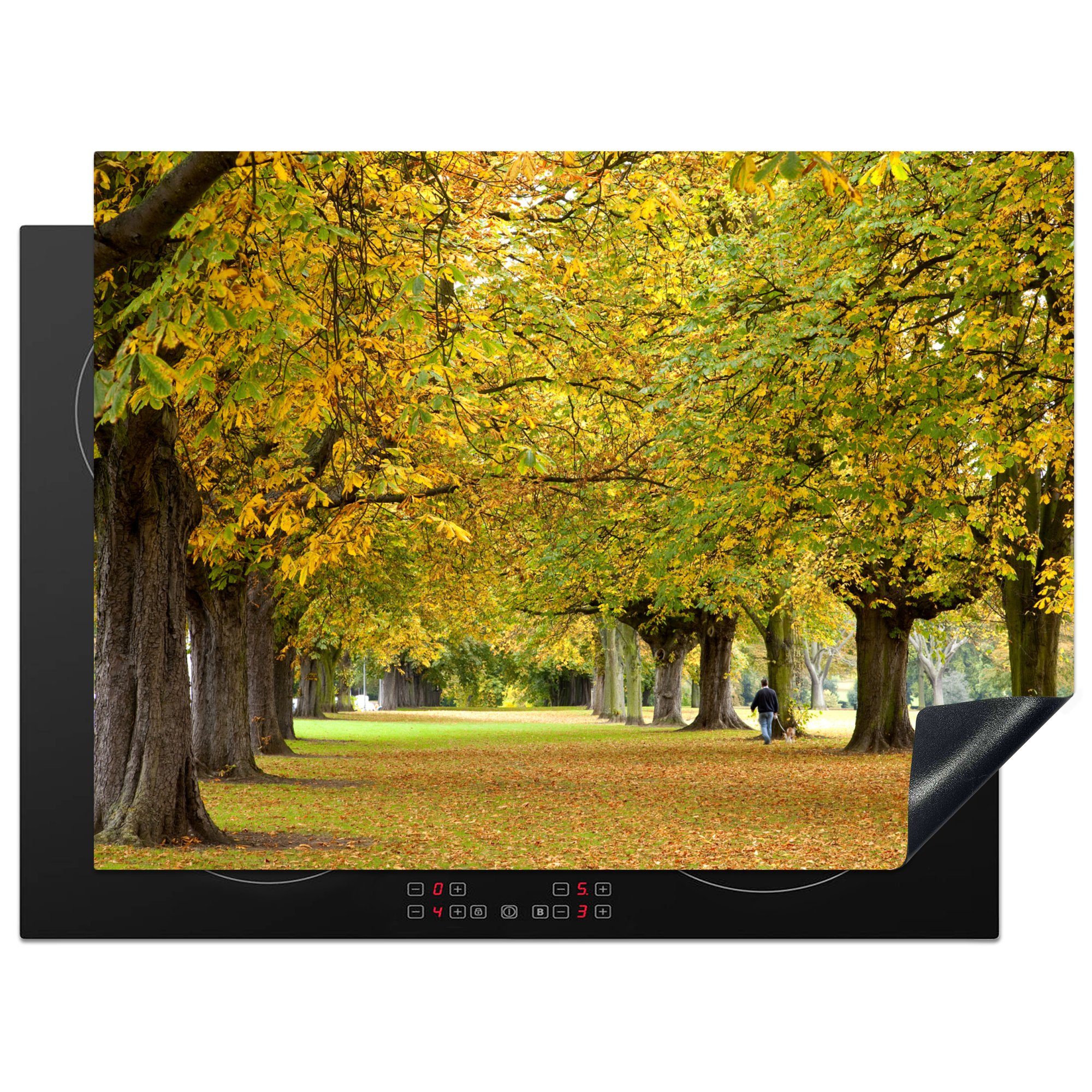 MuchoWow Herdblende-/Abdeckplatte Kastanienbäume in einer Reihe in Northampton, England, Vinyl, (1 tlg), 70x52 cm, Mobile Arbeitsfläche nutzbar, Ceranfeldabdeckung