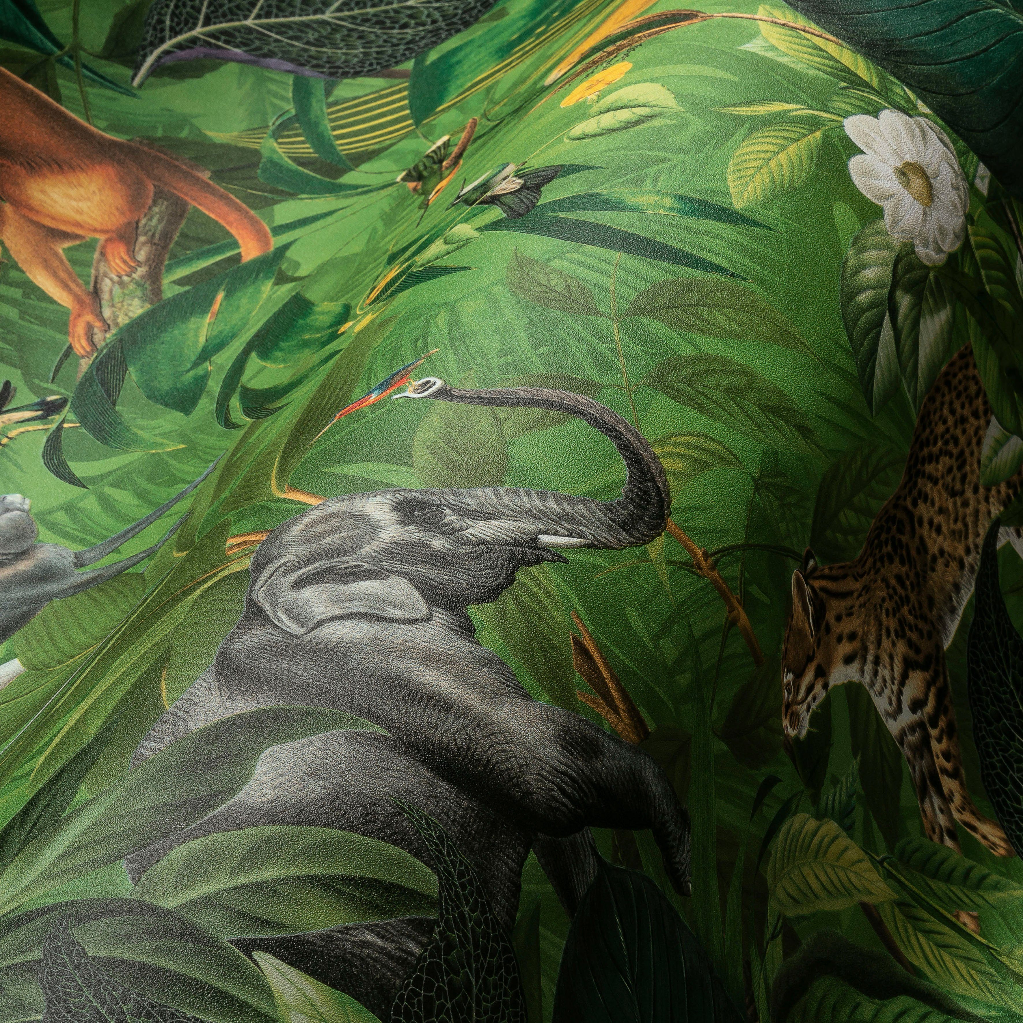 matt, Création Tieger A.S. Dschungel (1 Vliestapete St), mit Tieren, Elefant Blätter PintWalls grün/braun/grau glatt, Affen