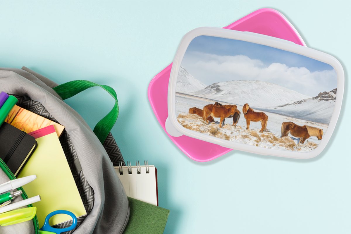 MuchoWow Kunststoff, Snackbox, rosa eines Kunststoff Mädchen, Erwachsene, Braune Kinder, am Berges, schneebedeckten Fuße Brotdose für Brotbox Isländerpferde (2-tlg), Lunchbox