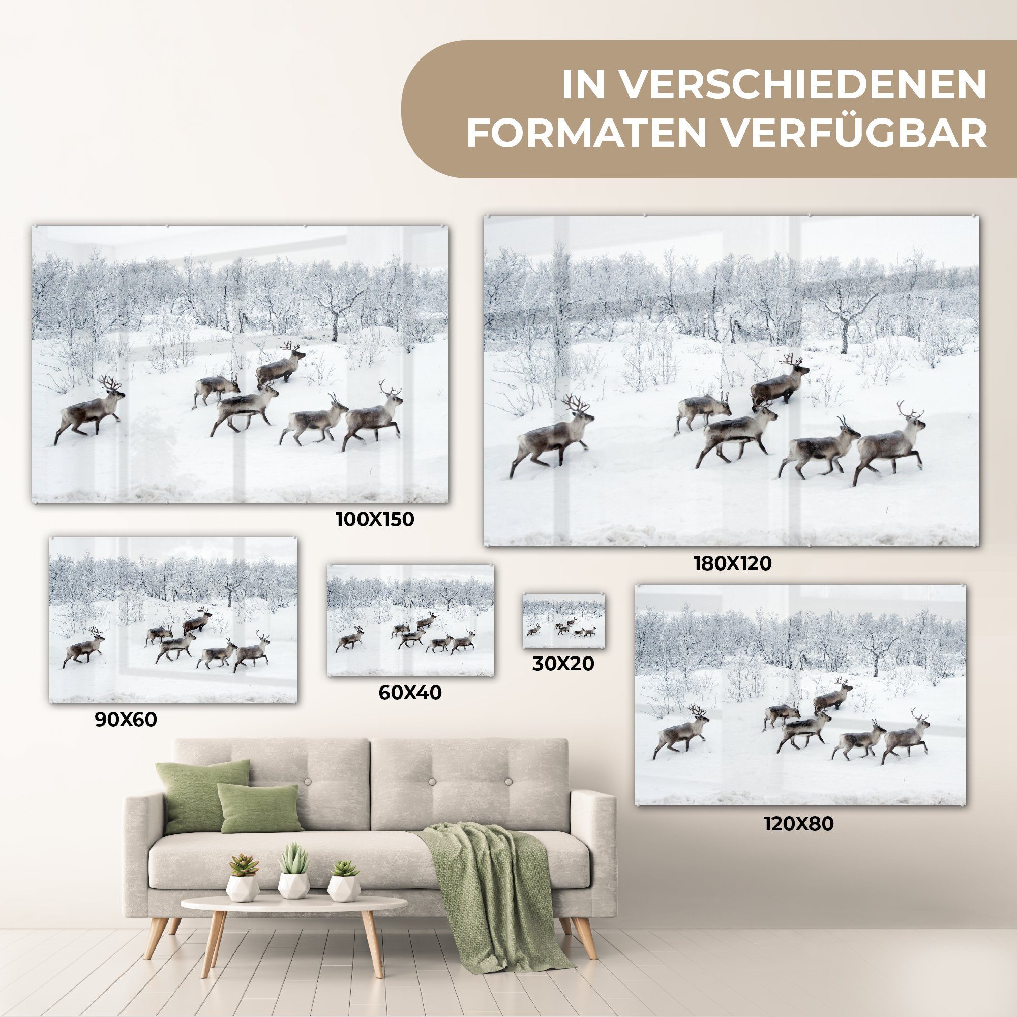 & Wald Schlafzimmer Acrylglasbilder Wohnzimmer Acrylglasbild Rentier Winter, - (1 - Schnee MuchoWow St), -