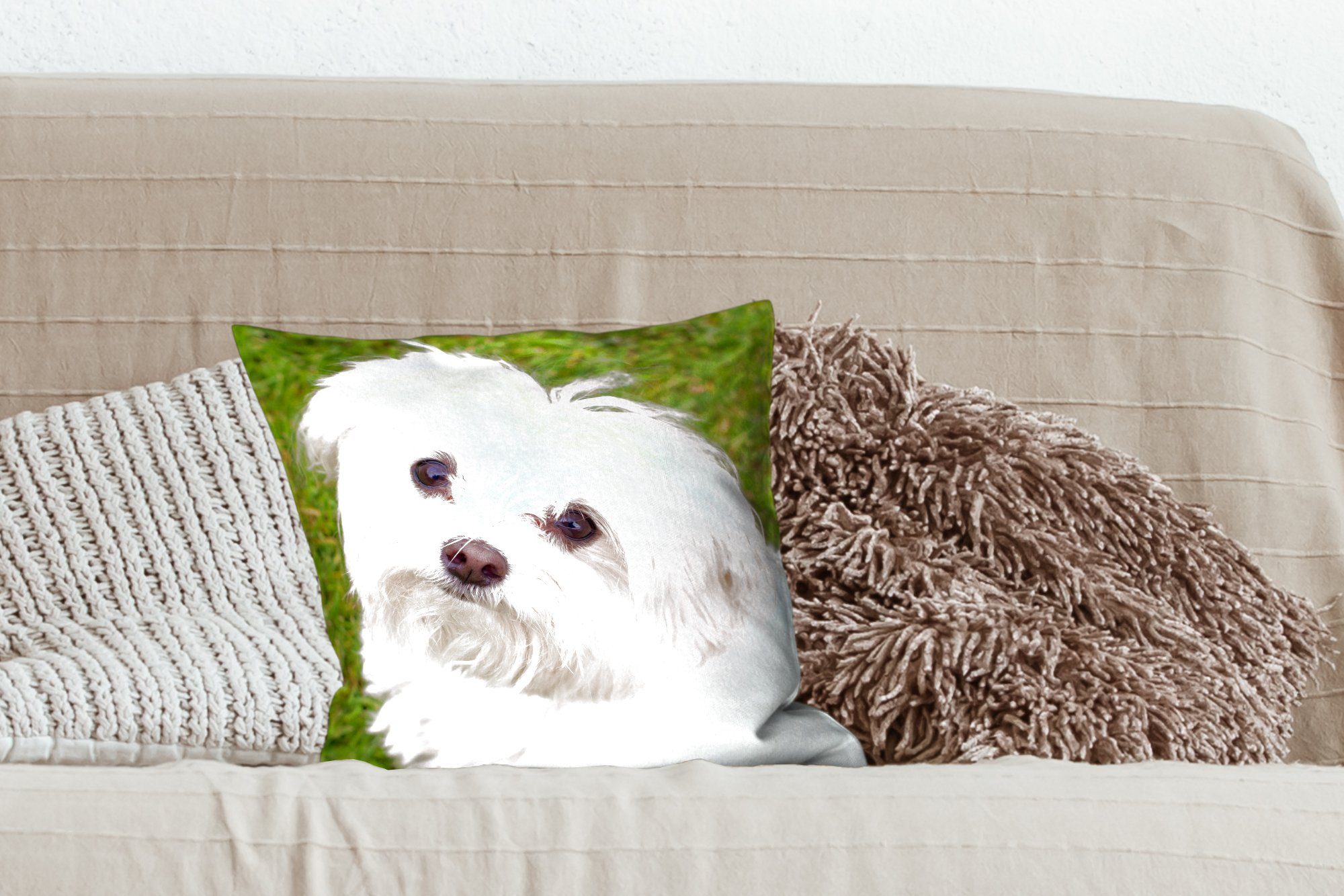 Deko, Malteserhund für Zierkissen MuchoWow Schlafzimmer, Sofakissen schaut mit auf, Dekokissen Wohzimmer, Füllung