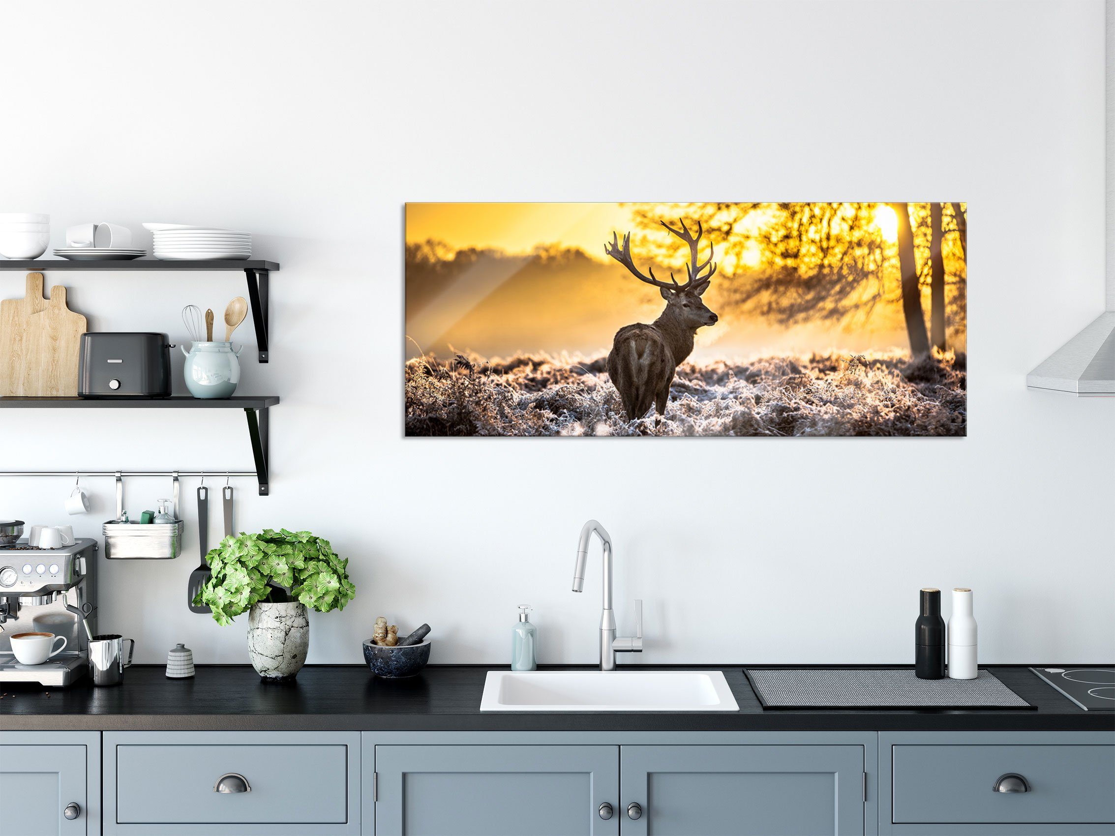 Pixxprint Glasbild Hirsch im Wald, Hirsch im Wald (1 St), Glasbild aus Echt günstig online kaufen