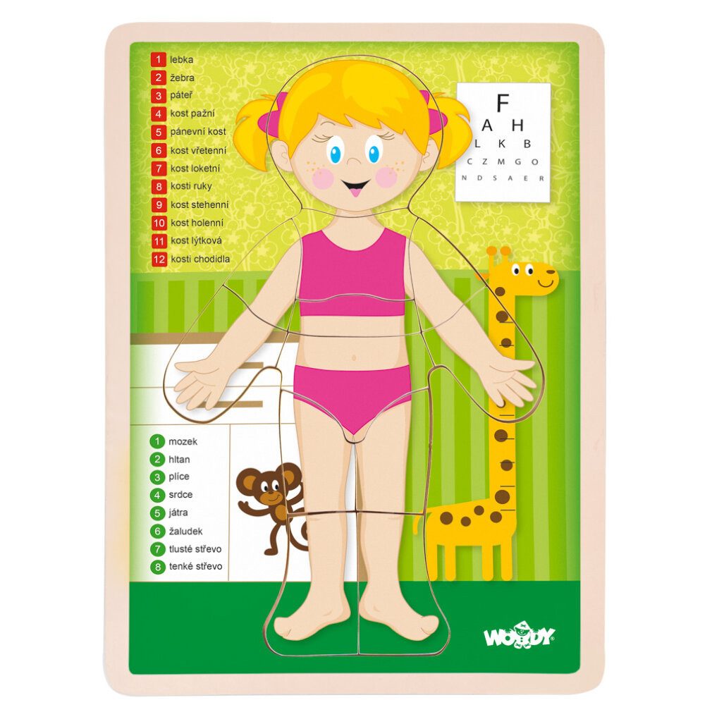 WrapUp Toys Spiel Puzzle ''Menschlicher Körper'' - Holka CZ