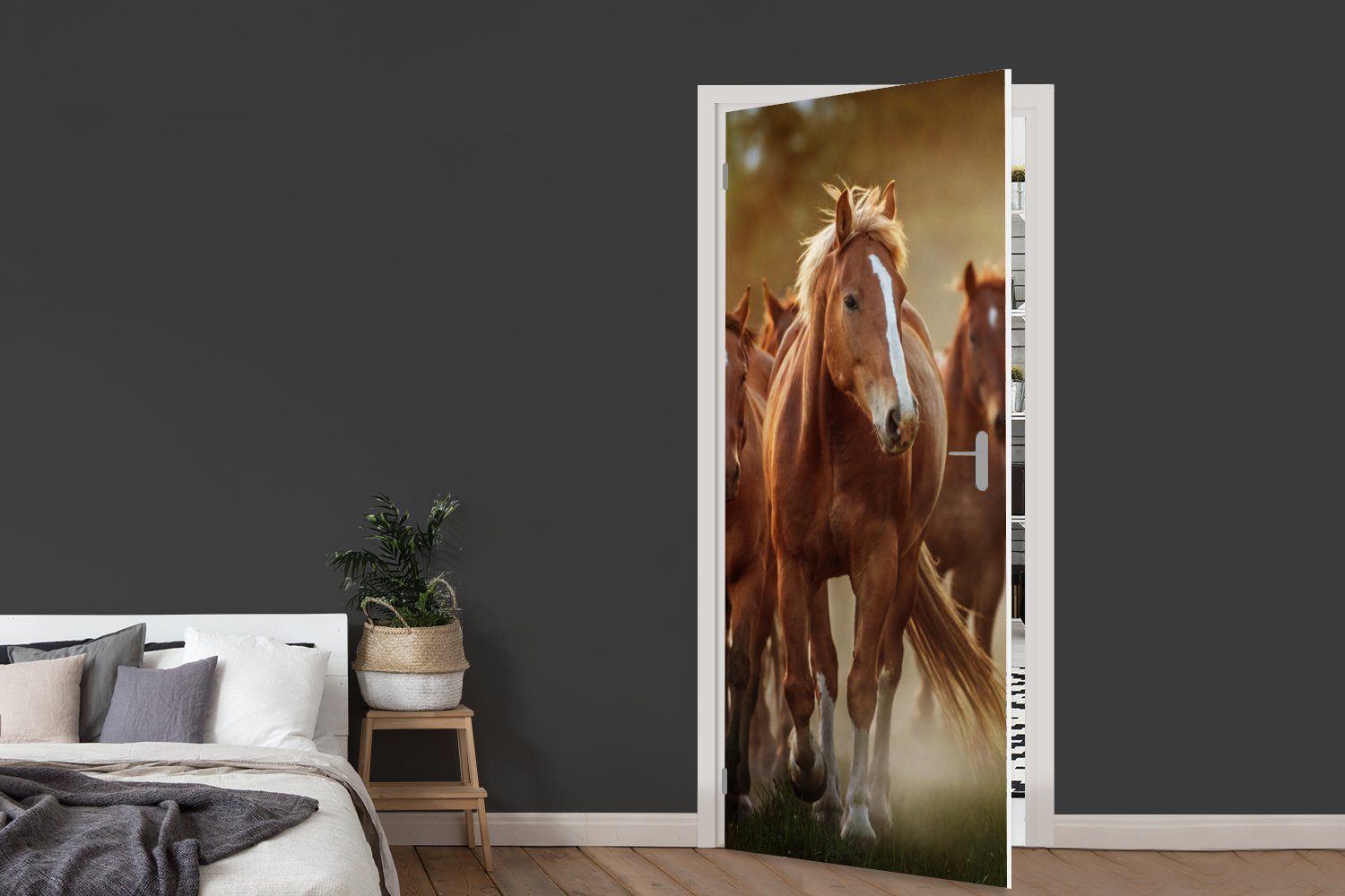 - MuchoWow Fototapete Türaufkleber, (1 St), bedruckt, 75x205 Licht - Pferde Matt, Tür, cm für Natur, Türtapete