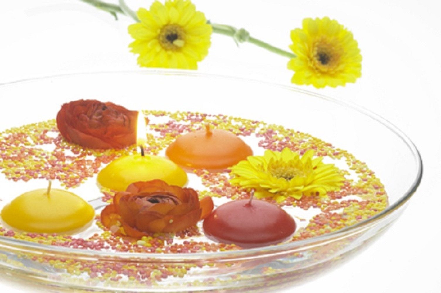 Bolsius Schwimmkerze 6 SCHWIMMKERZEN 50mm EIKA, in Klarsichtdose günstig online kaufen