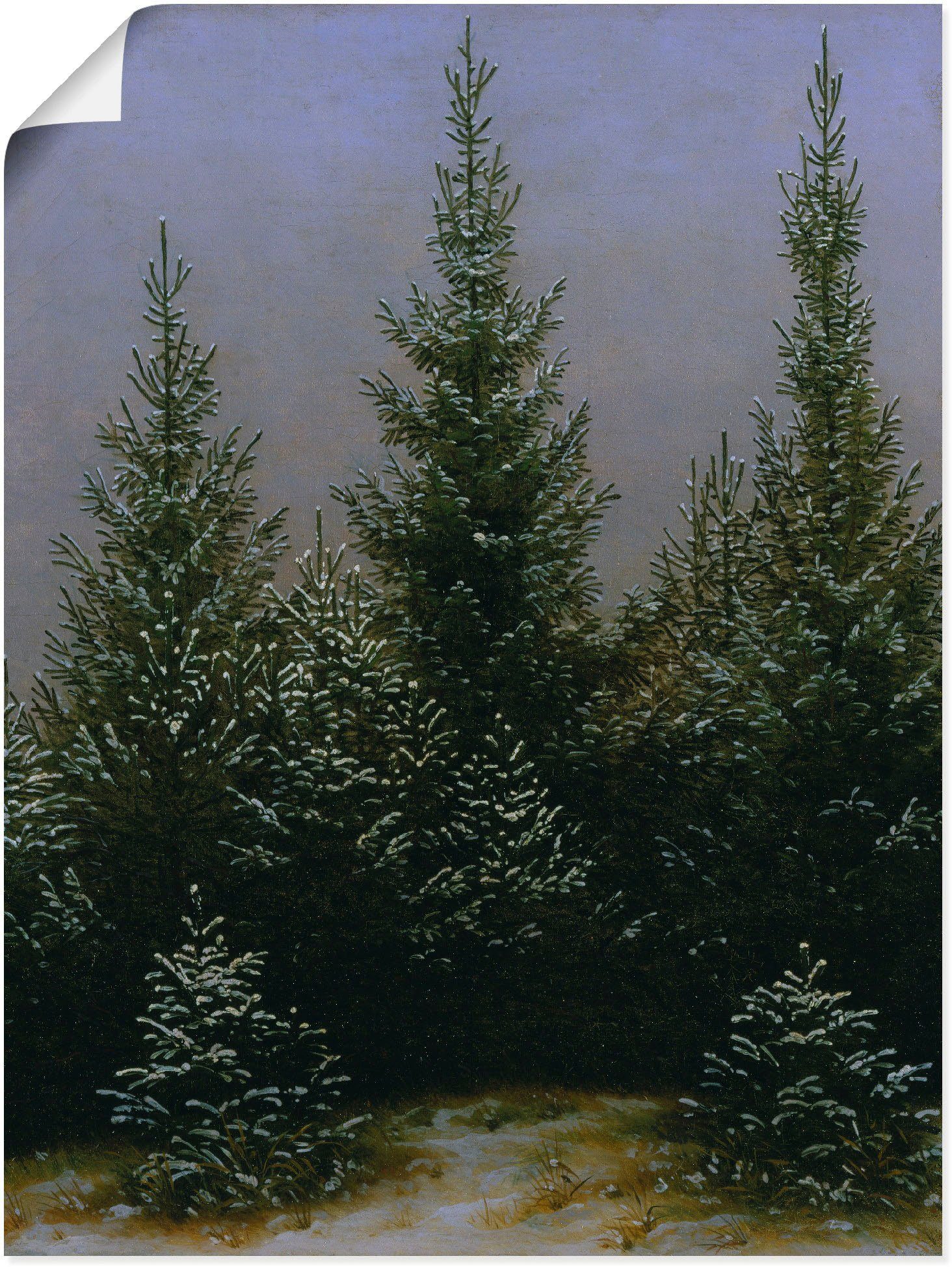 Heide, Größen Bäume Leinwandbild, (1 Wandbild Alubild, St), Dresdner Schnee oder Poster Wandaufkleber in als im Artland Fichtendickicht versch.