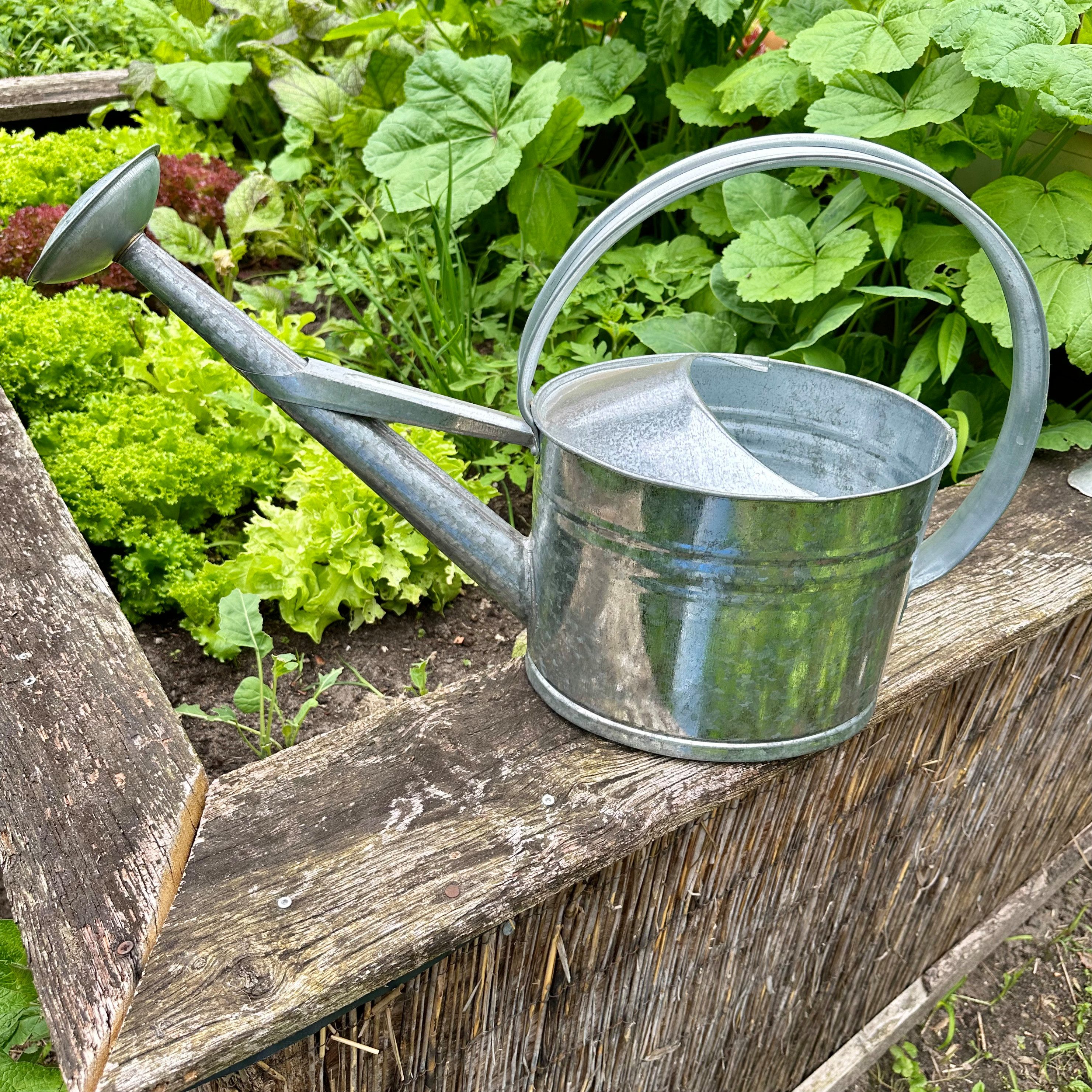 Antikas Gartenpflege-Set Gießkanne aus Altzink, M, Silber, Deko-Kanne