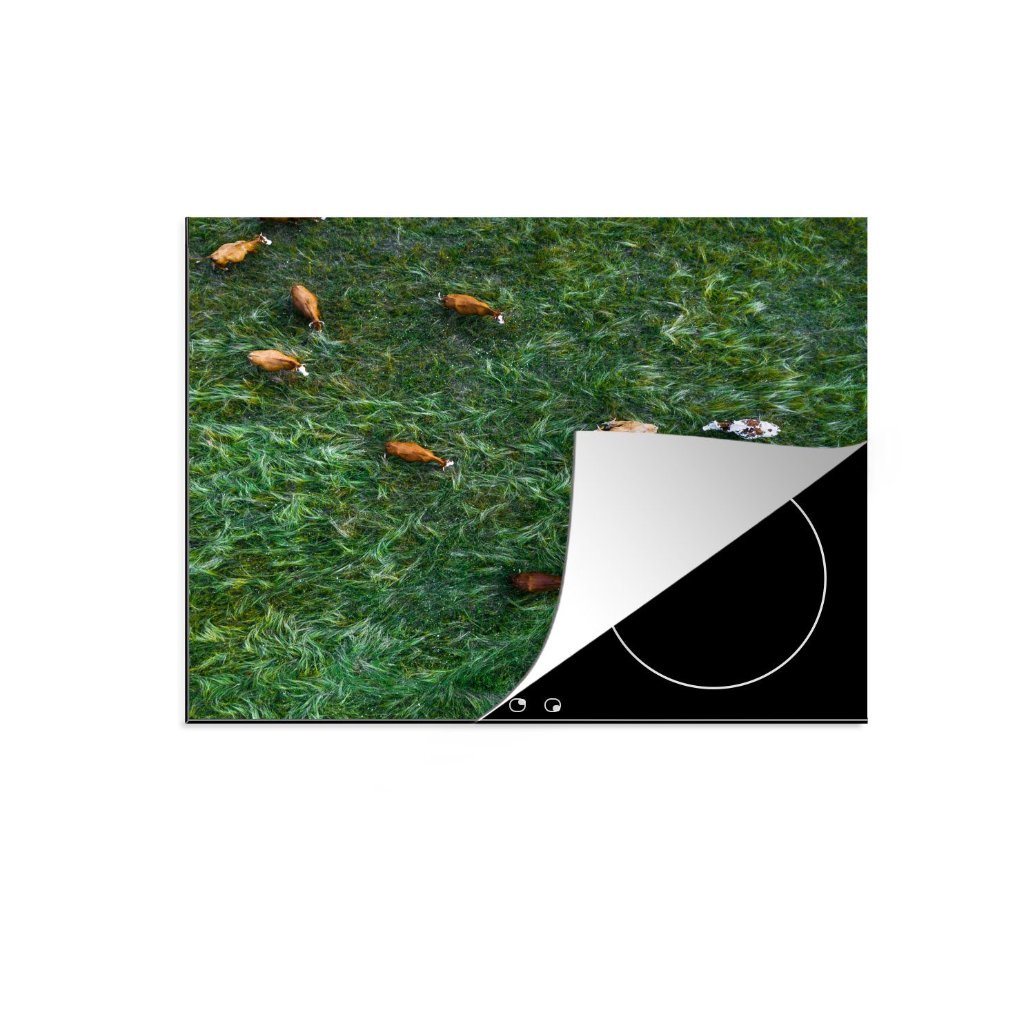 MuchoWow Herdblende-/Abdeckplatte Blick aus der Vogelperspektive auf eine Wiese mit Kühen, Vinyl, (1 tlg), 59x52 cm, Ceranfeldabdeckung für die küche, Induktionsmatte