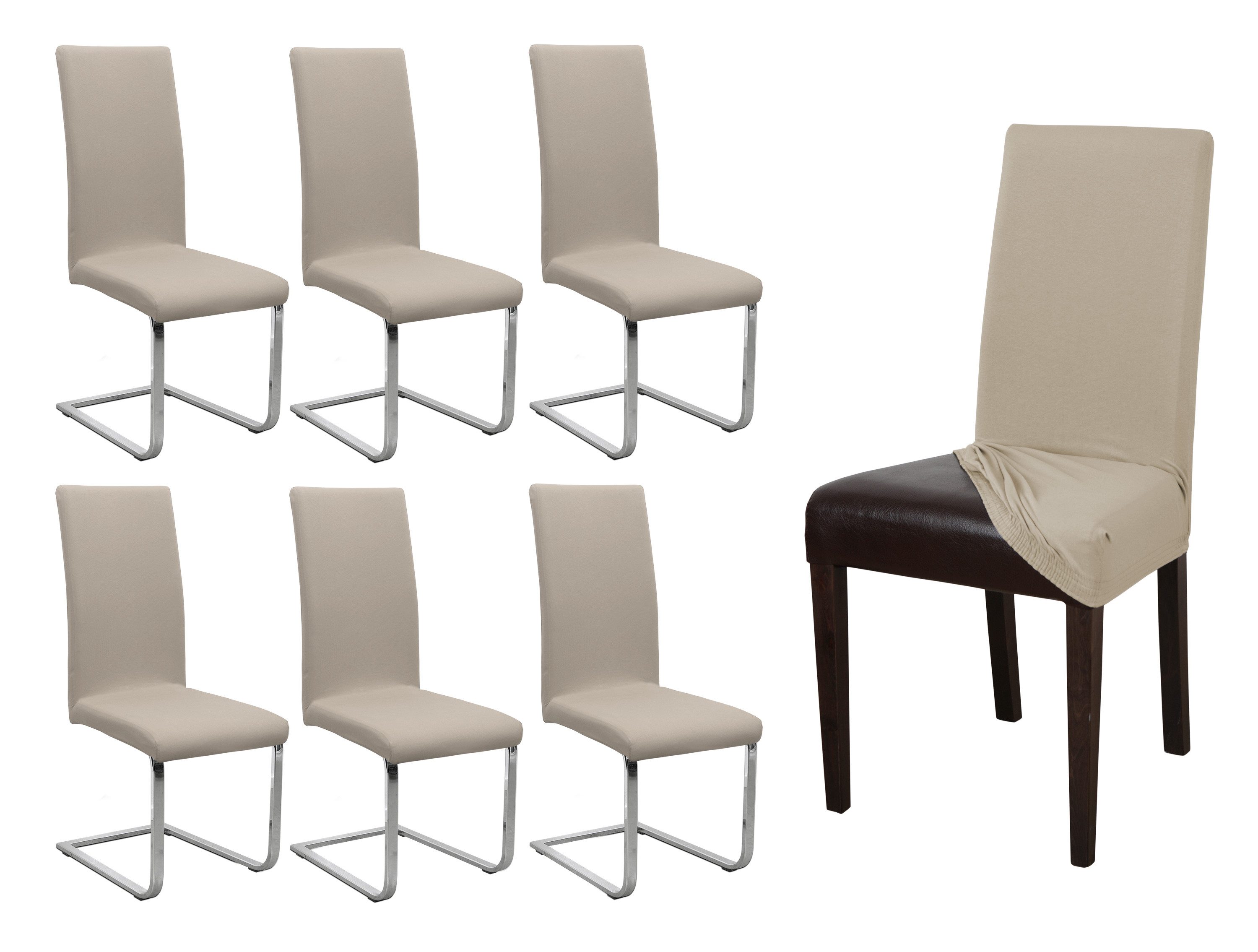 Beautex Stuhlhusse Jersey Baumwolle elastisch für Stühle und Schwingstühle 6er Set