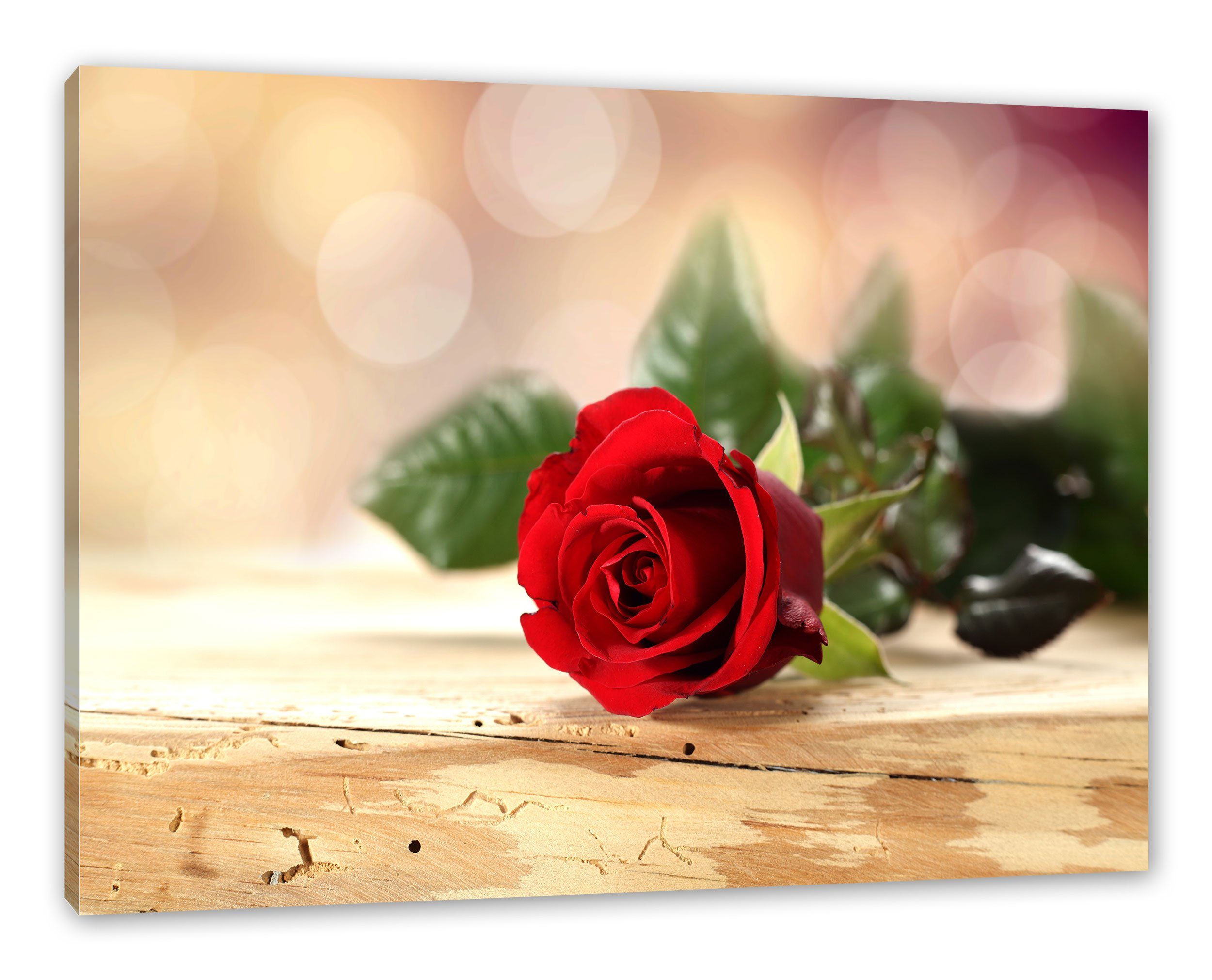 auf Leinwandbild Pixxprint fertig Zackenaufhänger auf Rose Holztisch, St), Holztisch bespannt, (1 Leinwandbild Rose inkl.