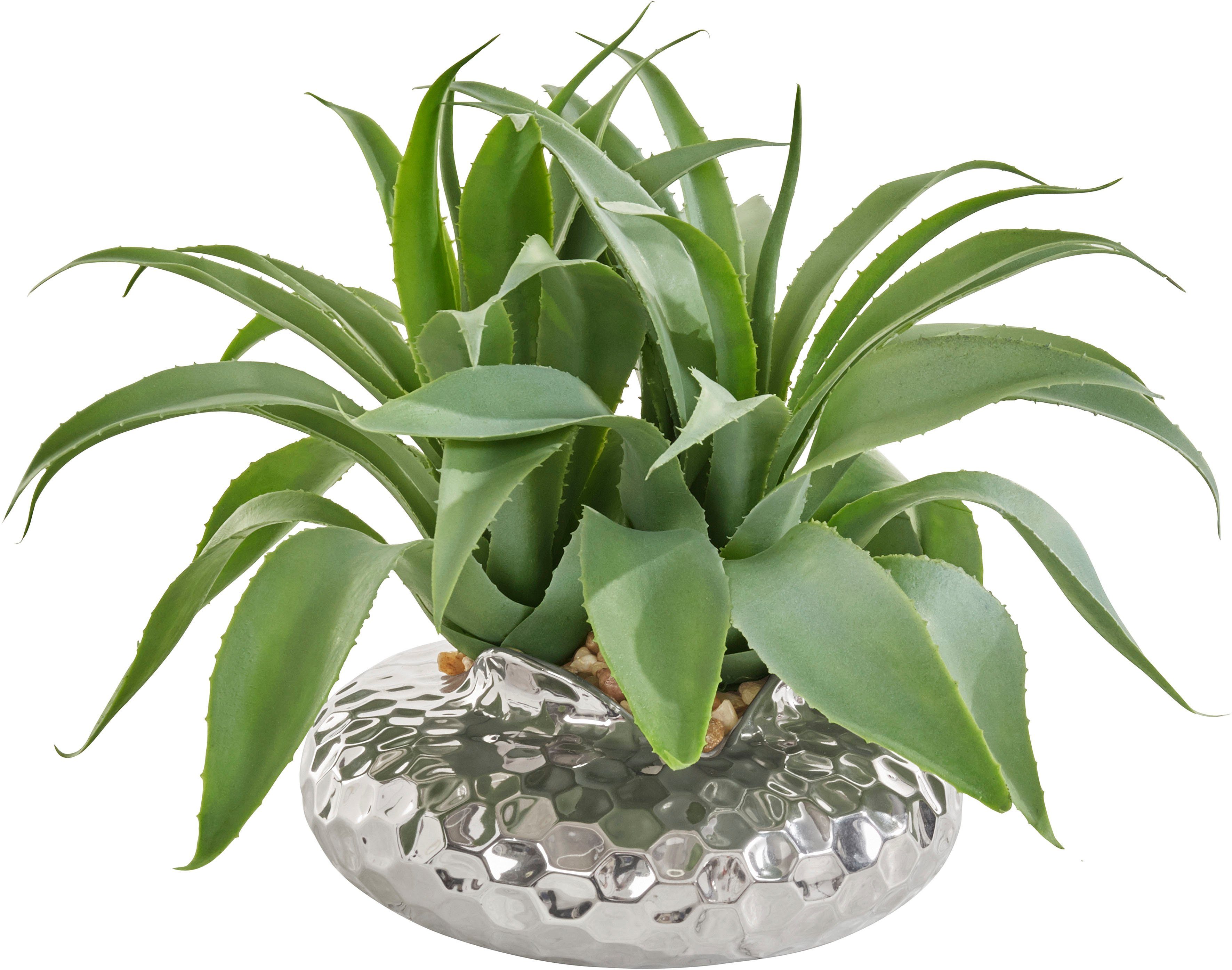 Kunstpflanze Agatelo Agave, Guido Maria Kretschmer Home&Living, Höhe 25 cm, Sukkulente, im Topf