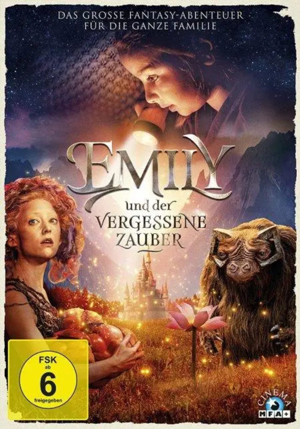 DVD Emily und der vergessene Zauber