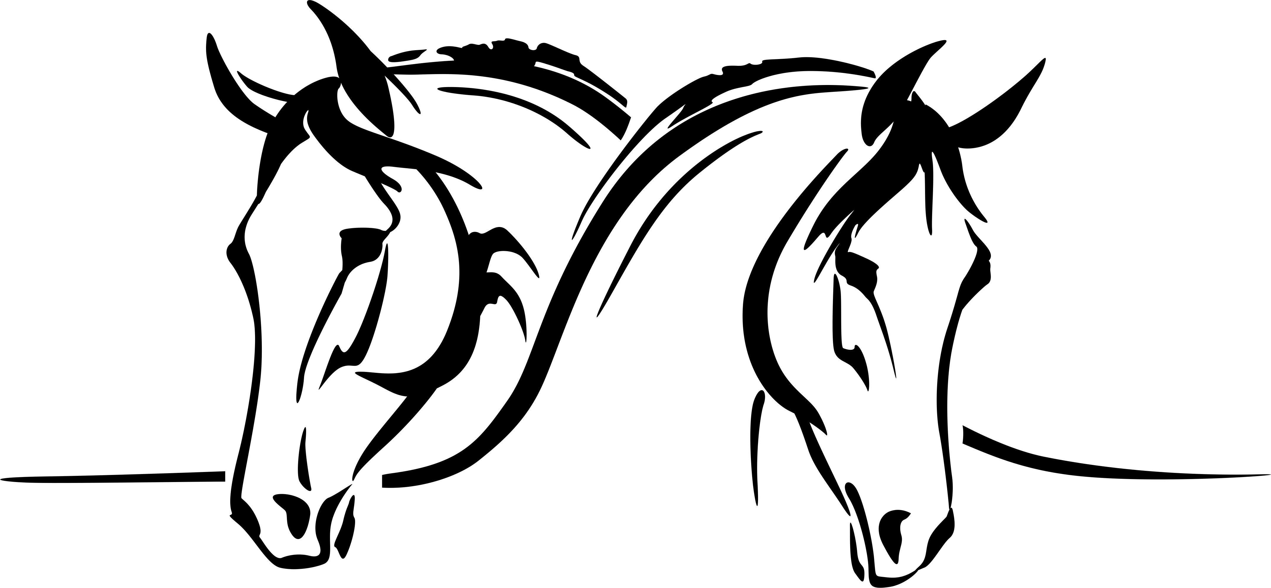 Wandtattoodesign Aufkleber Aufkleber für Pferdeanhänger Zwei Pferde Farbe  Weiß Größe Nr. 3, (1tlg), Hochglanz Folie