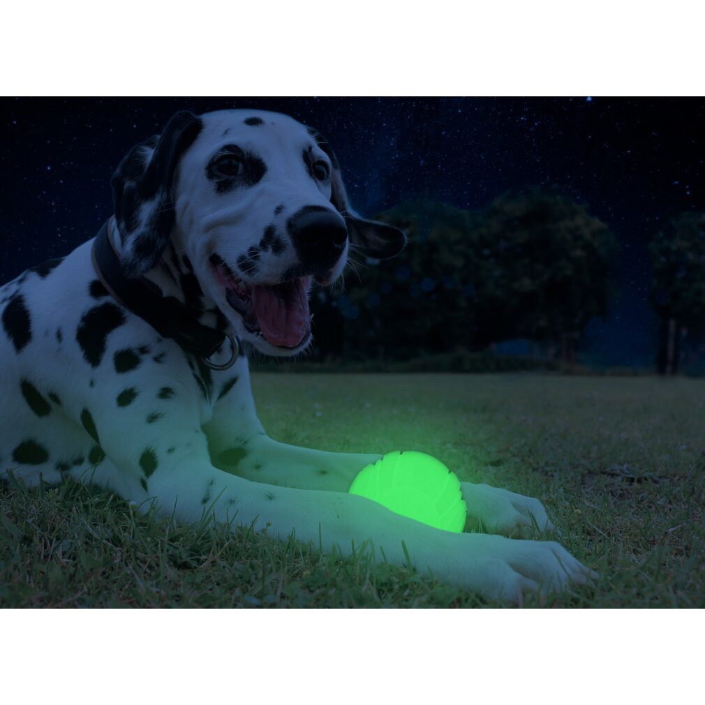 Holland Animal Care Tierquietschie 2 Glow Fetch and catch 2 match