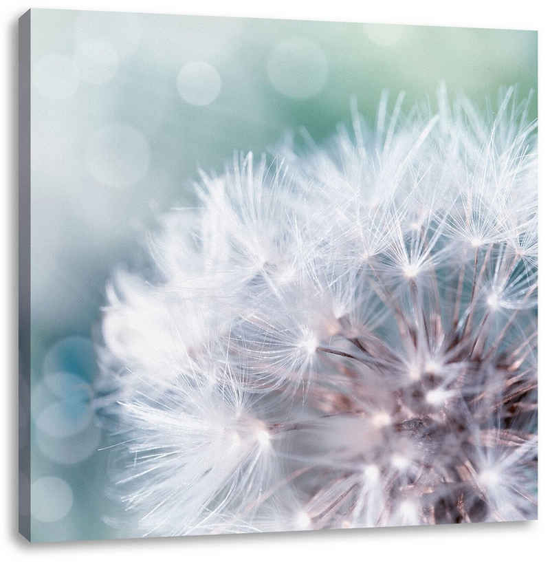 Pixxprint Leinwandbild Zauberhafte Pusteblume, Zauberhafte Pusteblume (1 St), Leinwandbild fertig bespannt, inkl. Zackenaufhänger