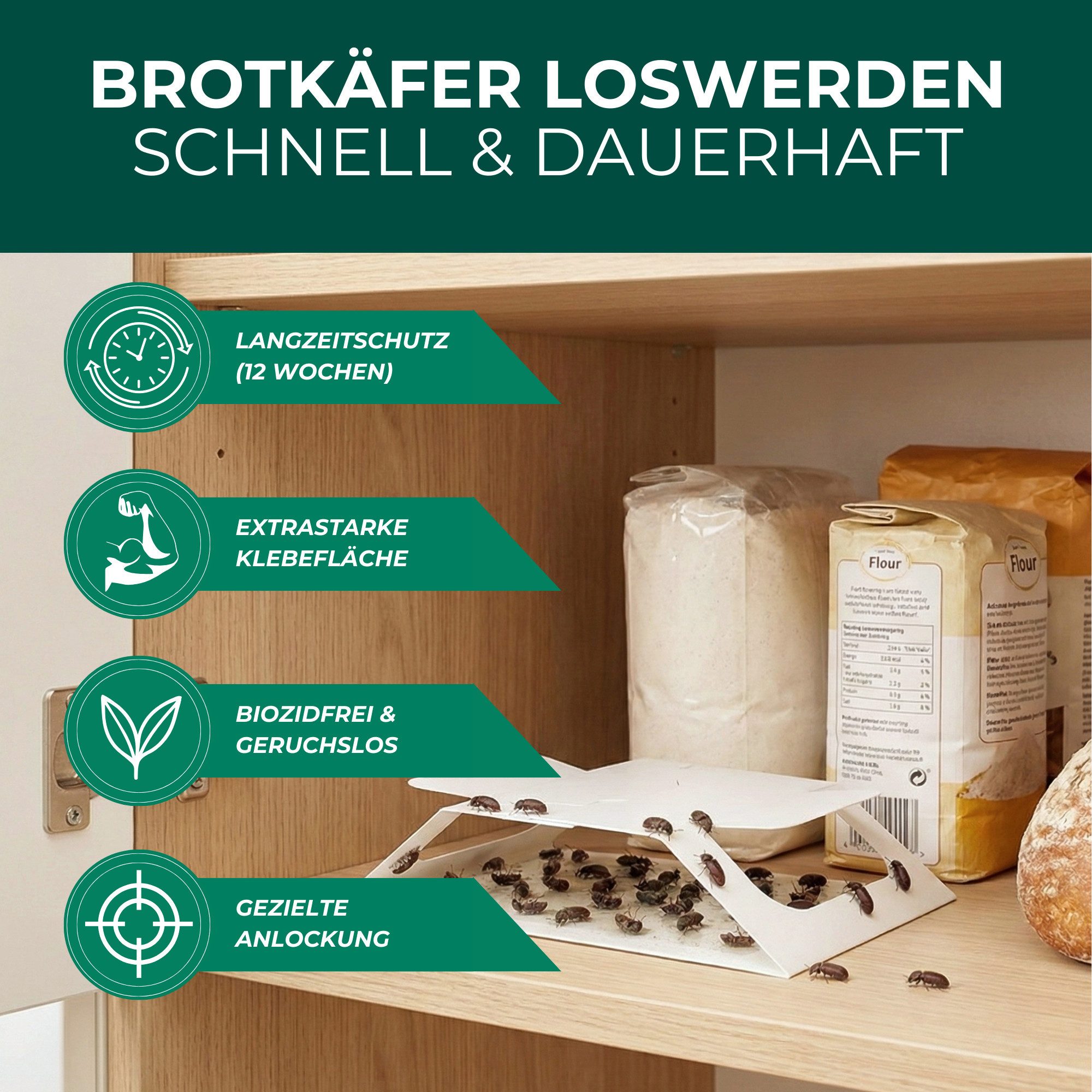 Silberkraft Insektenfalle Brotkäferfalle – Universal-Klebefalle mit Lockstoff, Extrastarke Klebefläche, einfache Anwendung – Bild 5 von 5
