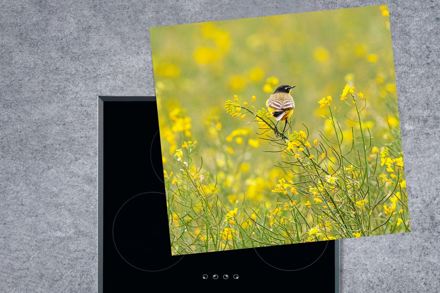 Vogel Vinyl, für Arbeitsplatte cm, Ceranfeldabdeckung, küche Herdblende-/Abdeckplatte - MuchoWow Blumen - tlg), (1 Gelb, 78x78