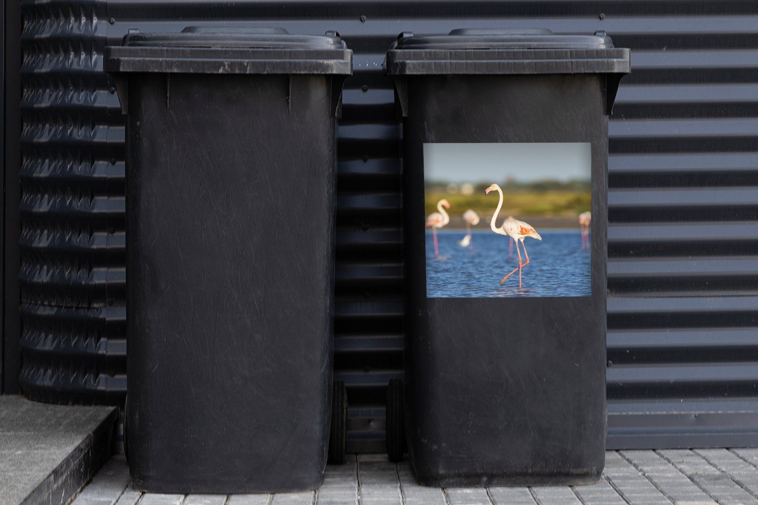 Mülleimer-aufkleber, St), Mülltonne, Abfalbehälter (1 Flamingos Container, Sticker, von MuchoWow Eine Wasser im Gruppe Wandsticker