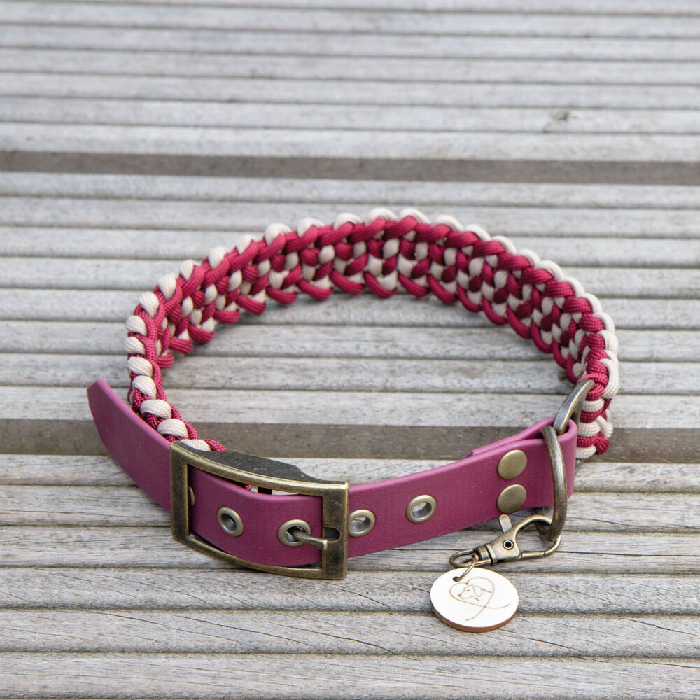 Trendfährte Hunde-Halsband Hundehalsband Paracord - handgearbeitet - robust, Paracord und Biothane, erstklassige Handarbeit