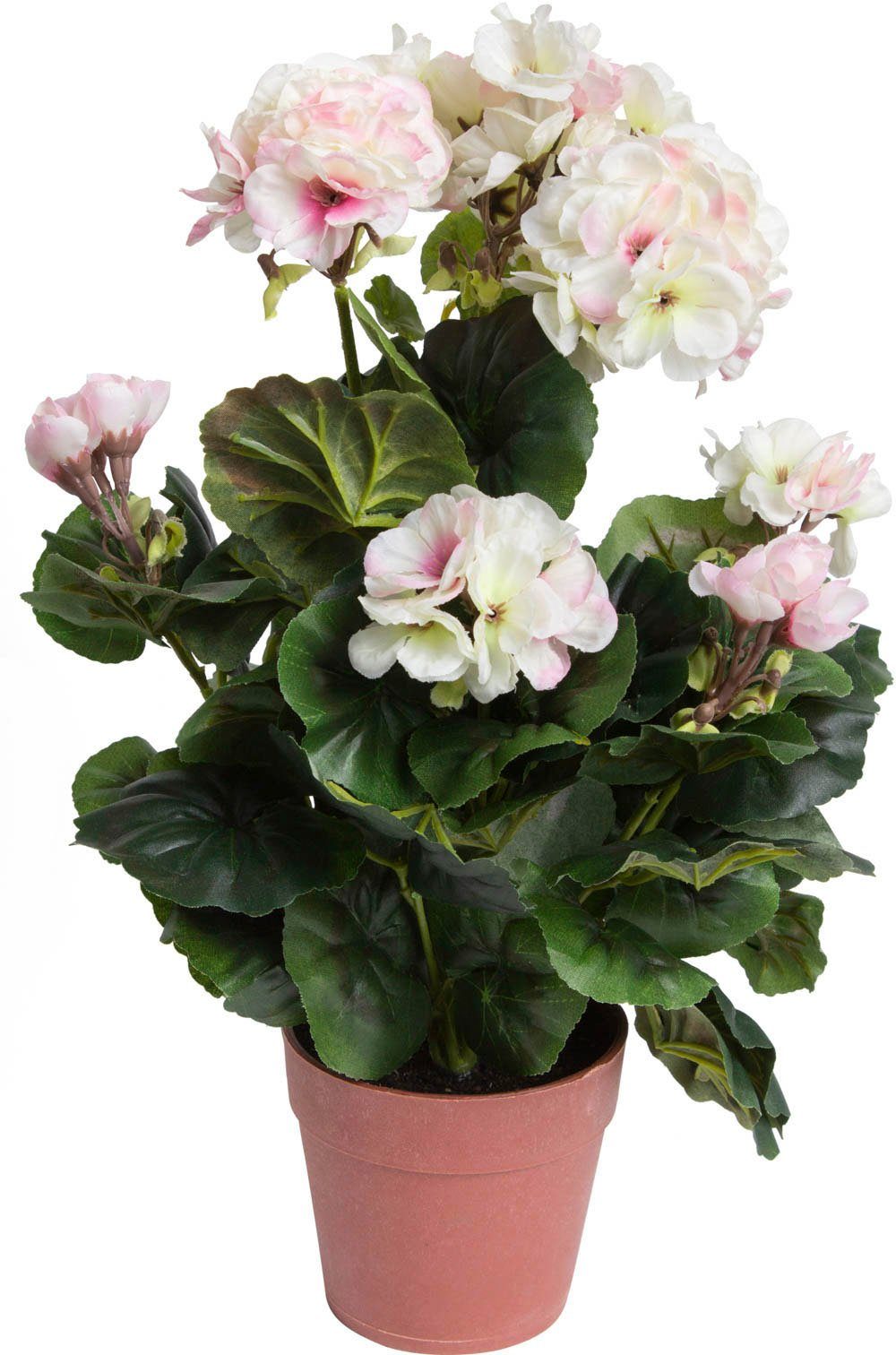 Kunstblume »Geranienbusch« Geranie, Botanic-Haus, Höhe 39 cm-Otto