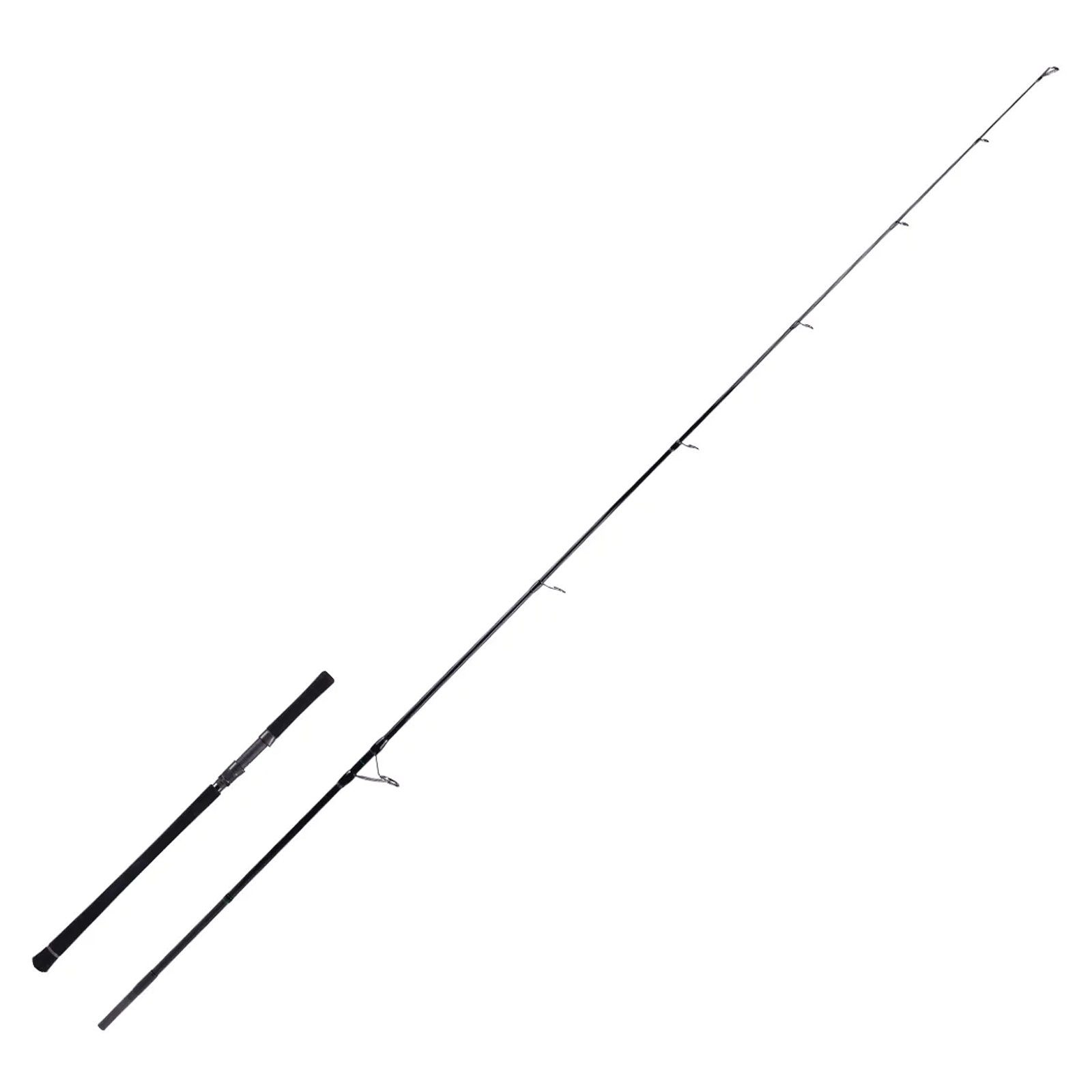 Zeck Fishing Spinnrute, (2-tlg), Zeck Evo Cat Spin 2,60m 20-120g Wels-Spinnrute