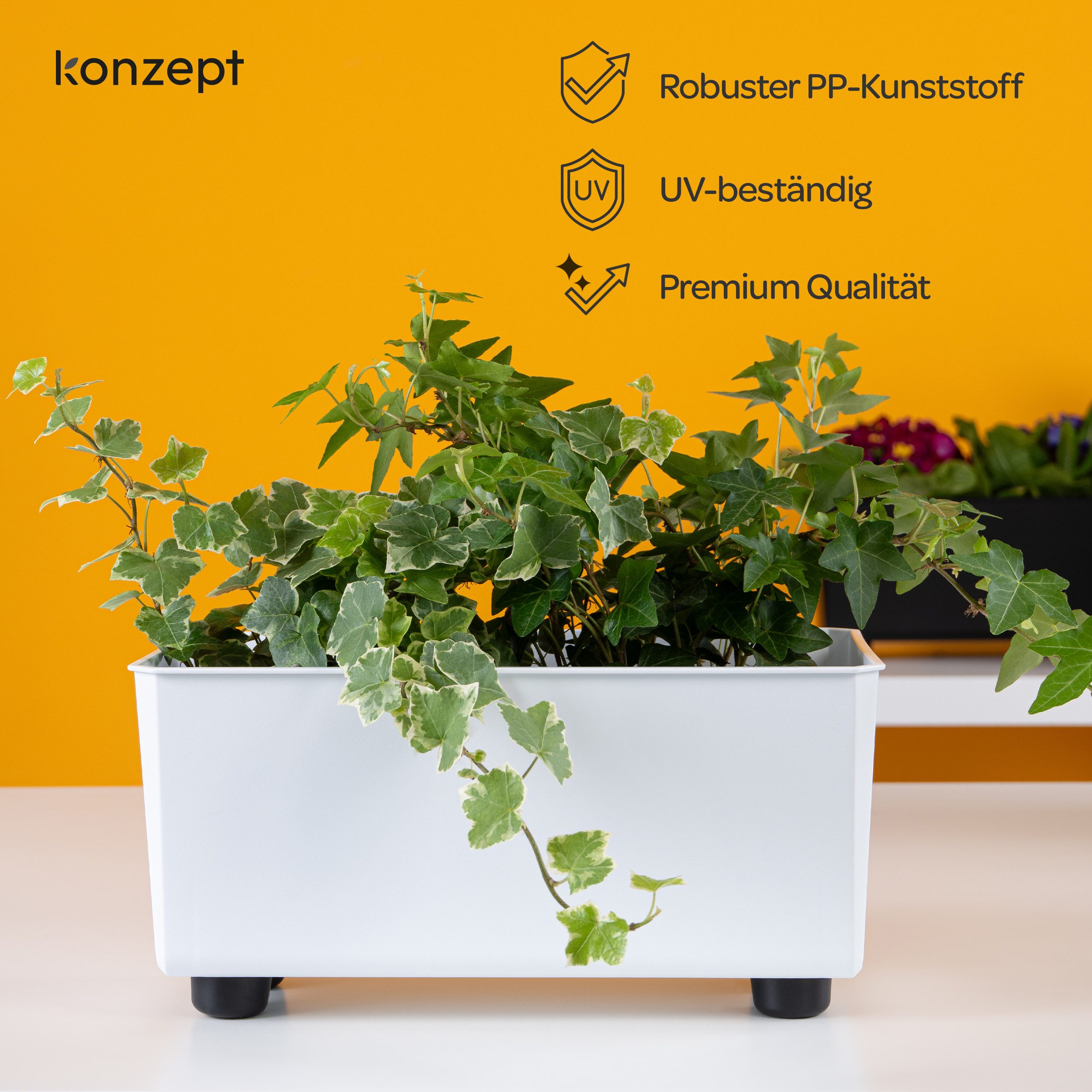 KONZEPT Blumenkasten Blumentöpfe mit Füßen, rechteckig – kleine Blumenkästen 4,2 L (1 St), 284x168x173 mm, ideal für Fensterbank & Zimmerpflanzen – Bild 4 von 5