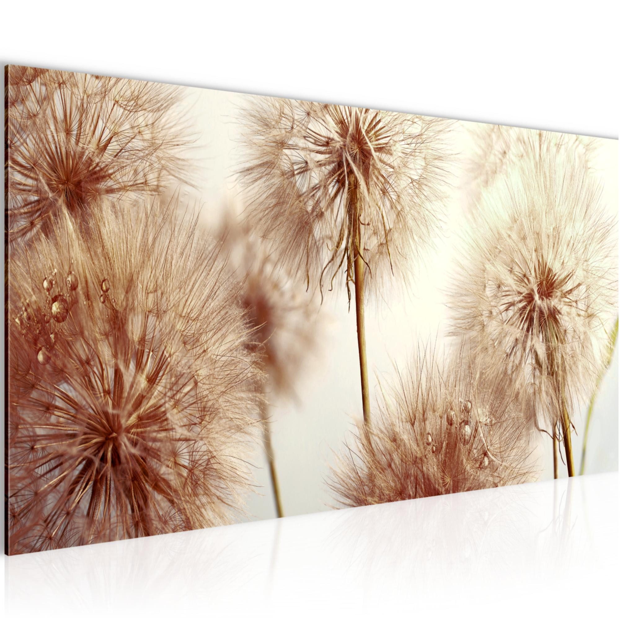 Runa Art Wandbild Blumen Pusteblumen Modern Bild auf Vlies Leinwand Natur Beige 042012b, 100L x 40B cm