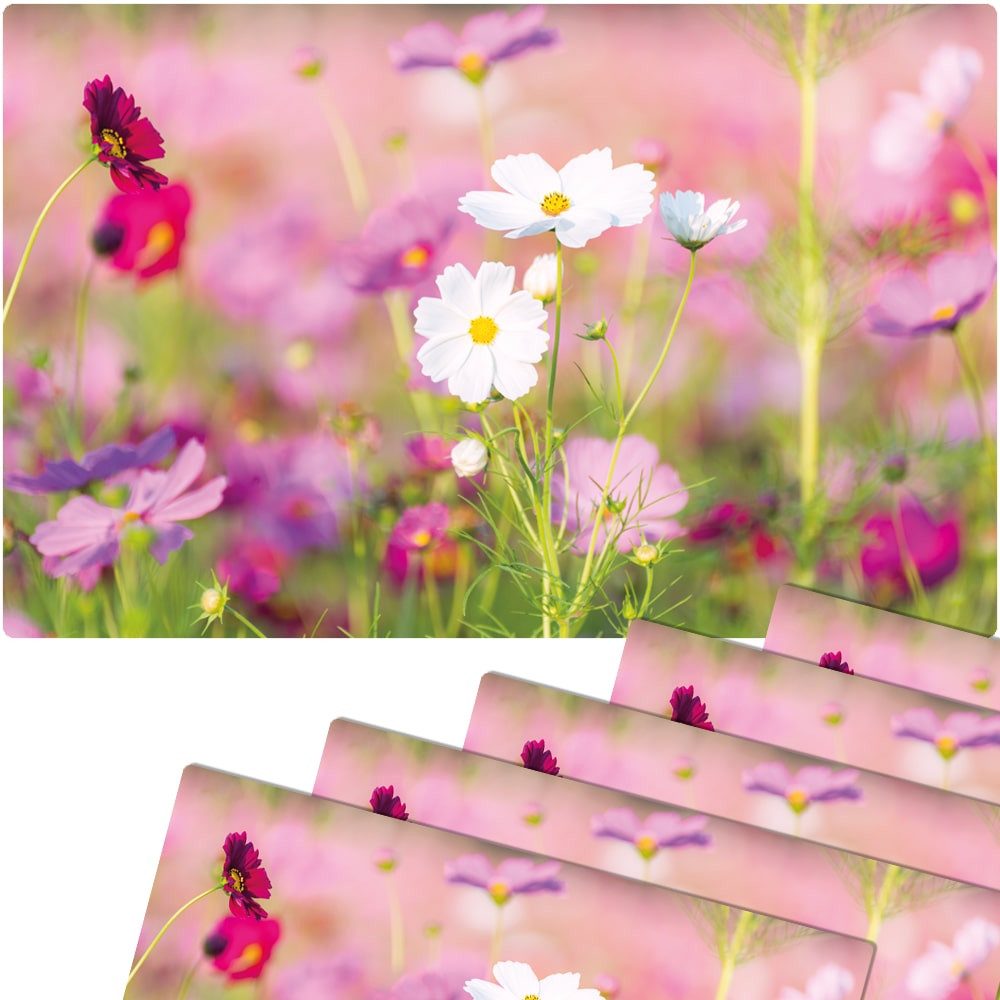 matches21 HOME & HOBBY Platzset Abwaschbare Tischsets 6er Set Blumen-Wiese günstig online kaufen