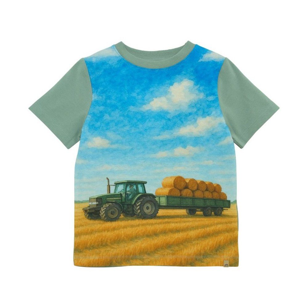 Minymo T-Shirt T-Shirt SS