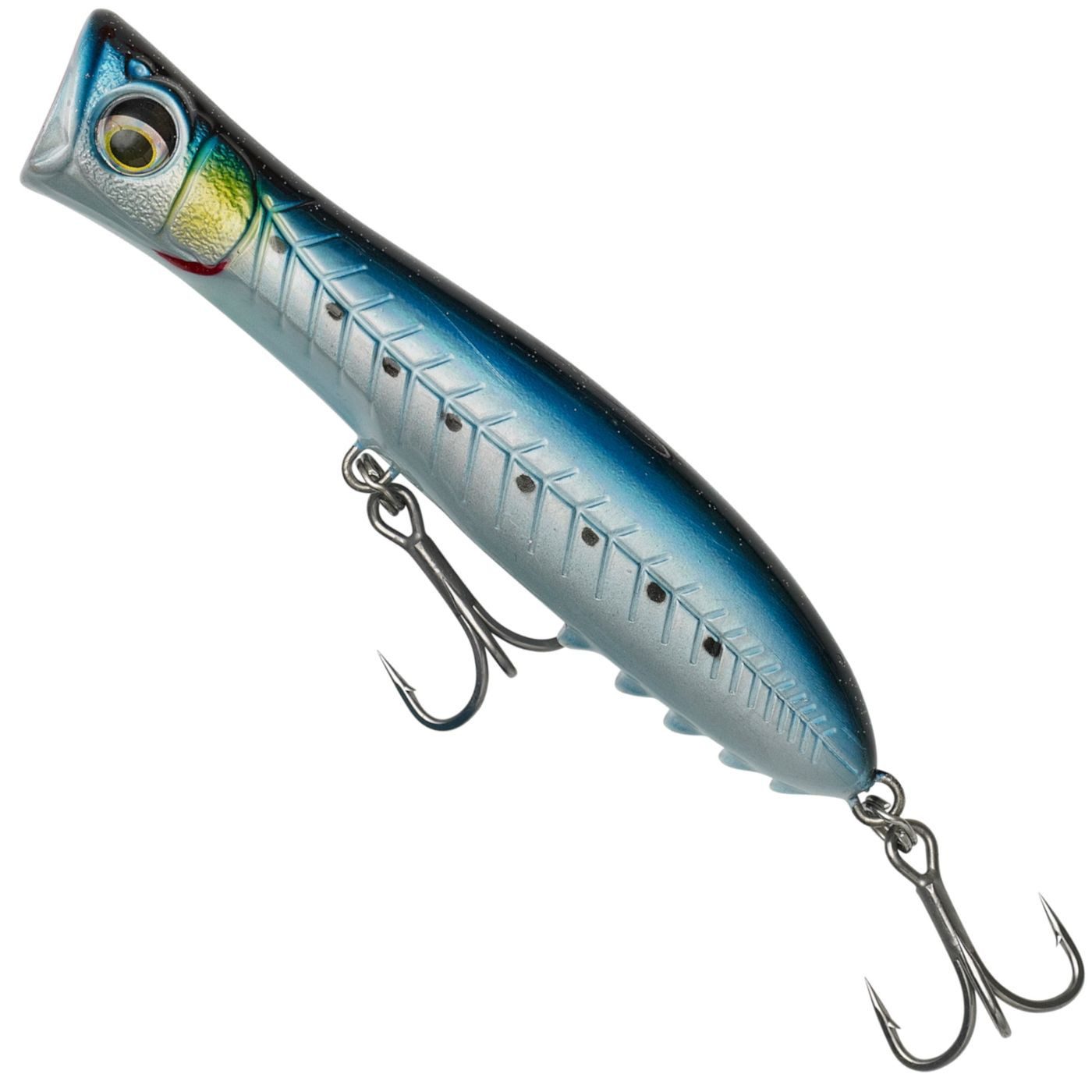 Sardine
