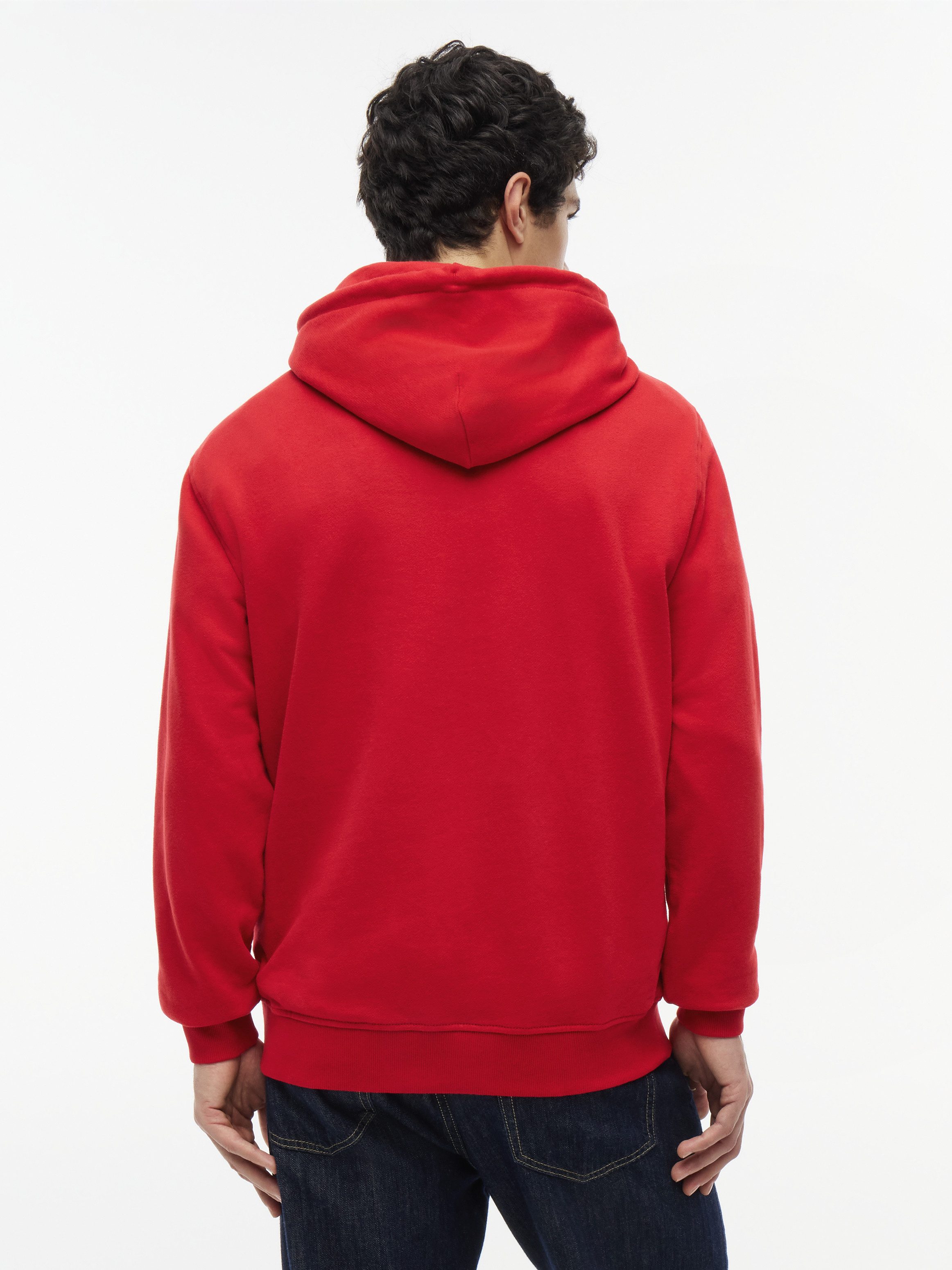 Tommy Jeans Kapuzensweatshirt TJM REGULAR ENTRY SIGN Regular fit, mit Kordelzug