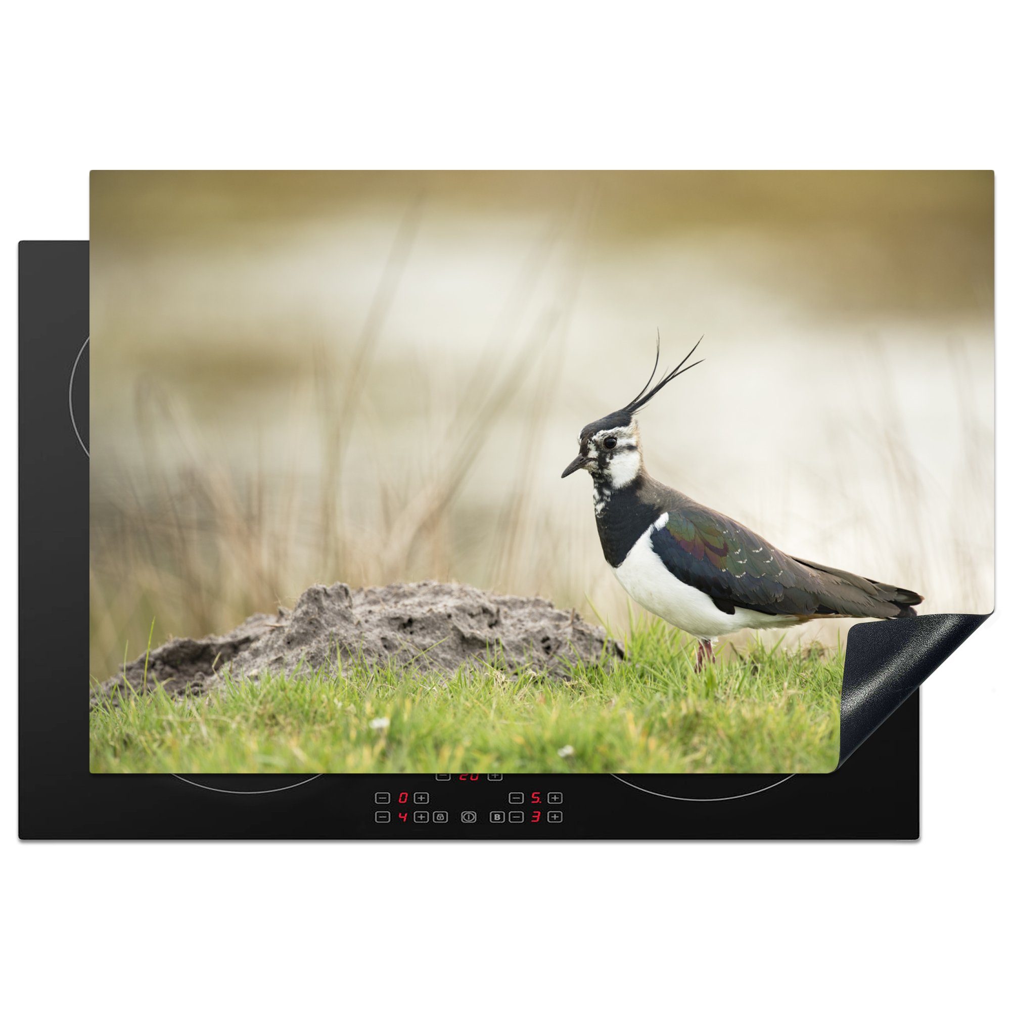 MuchoWow Herdblende-/Abdeckplatte Vogel - Gras - Tiere - Natur - Kiebitz, Vinyl, (1 tlg), 77x51 cm, Ceranfeldabdeckung, Arbeitsplatte für küche
