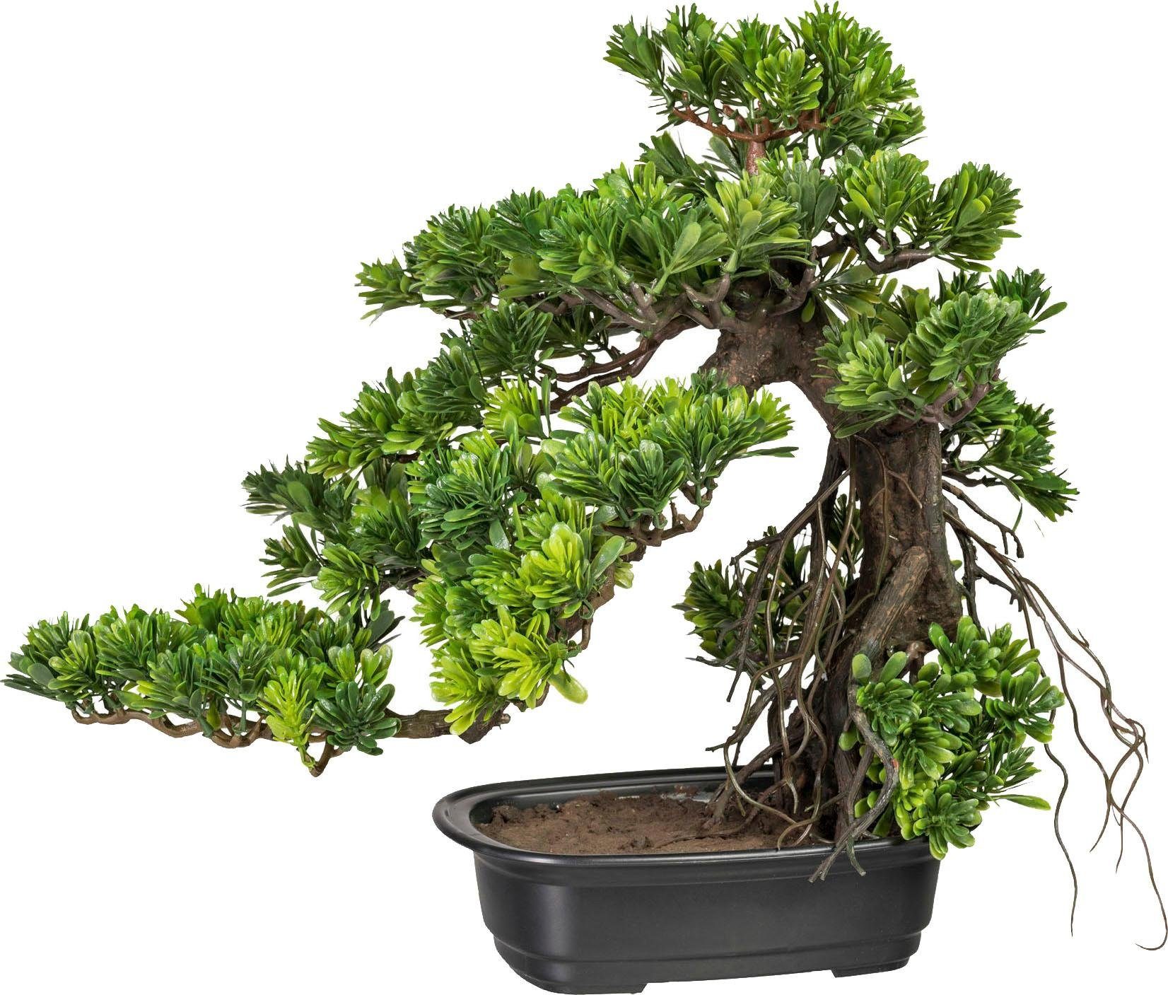 Kunstbonsai Bonsai Podocarpus Bonsai, Creativ green, cm Höhe 40