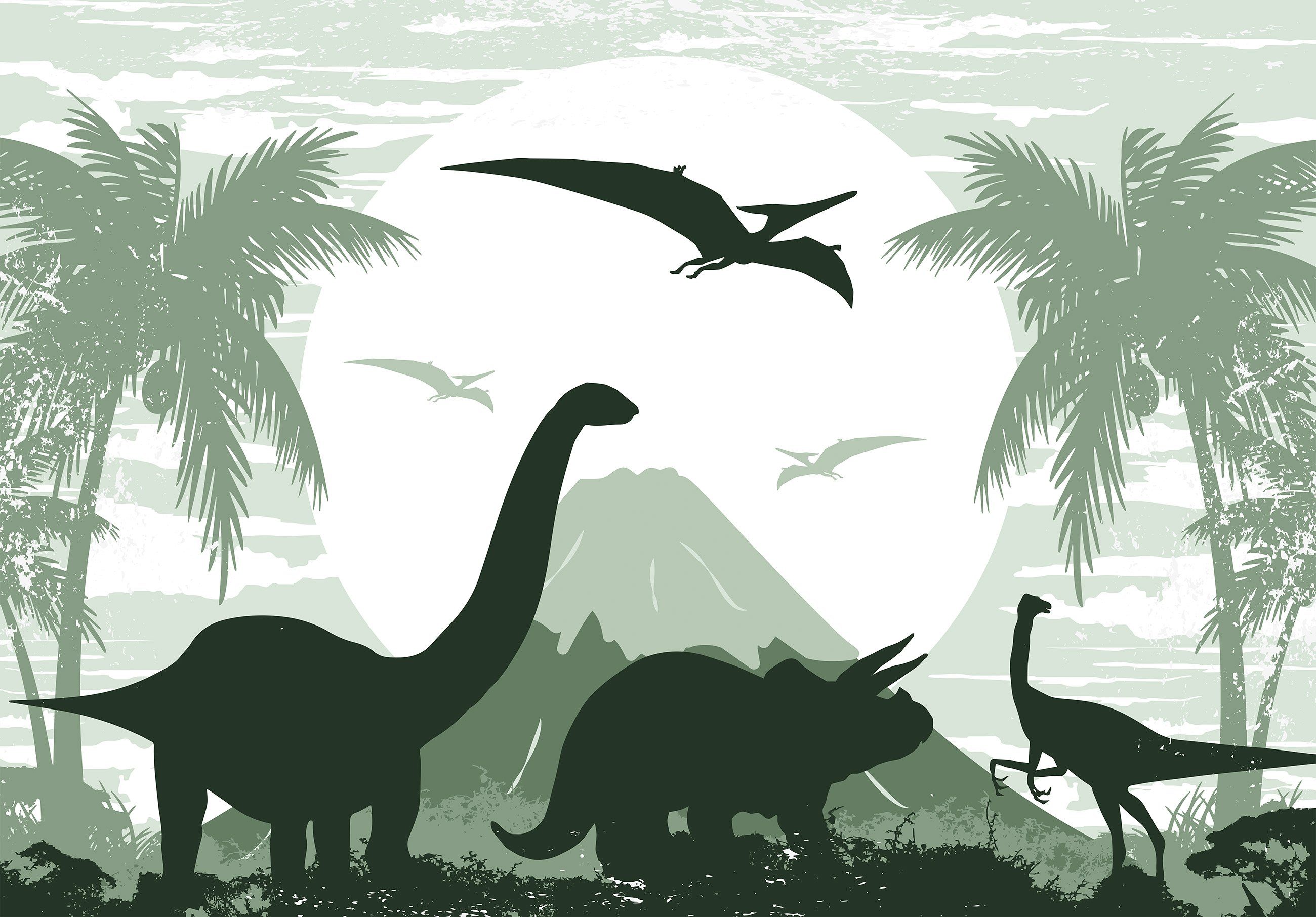 Wallarena Fototapete Kinderzimmer Jungen Dinosaurier Kinder günstig online kaufen