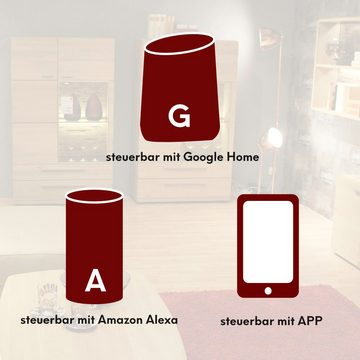 kalb LED Wifi Controller Alexa u. Google Home komp. Smartphone gesteuert Wandtaster