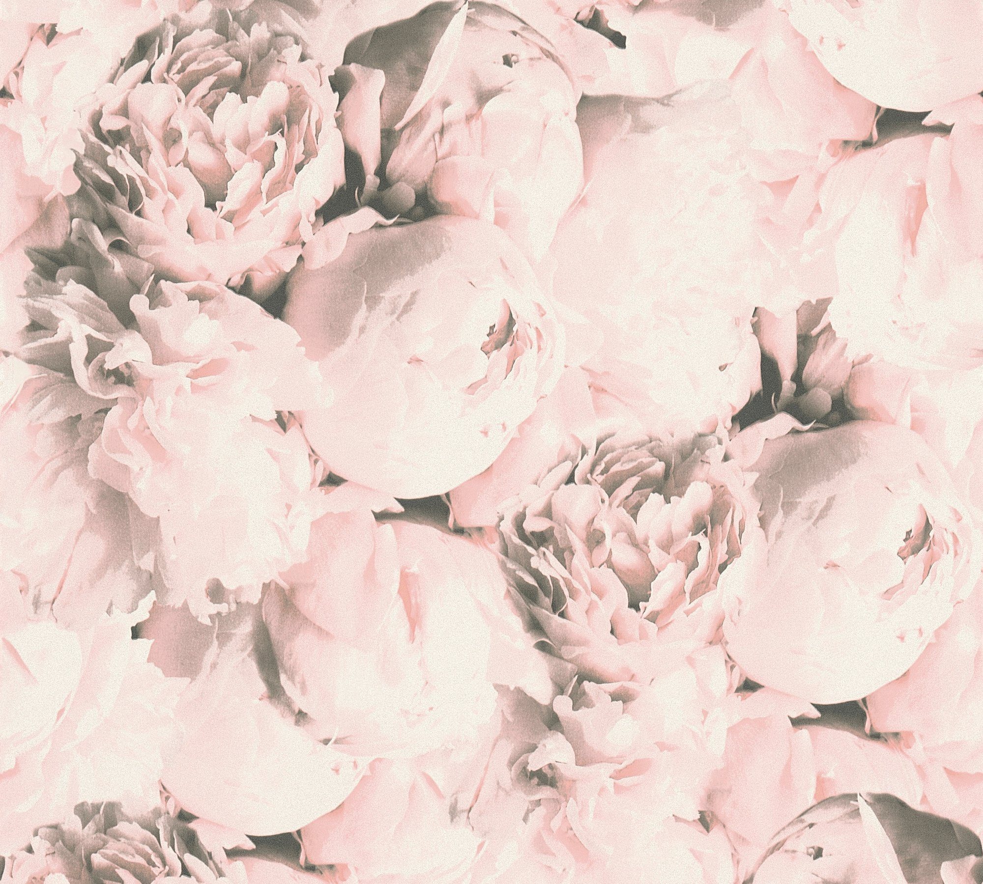 mit romantischen Rosen, Neue Flowery Floral Bude Romantic 2.0 Vliestapete grau/hellrosa A.S. Blumen Tapete floral, Création