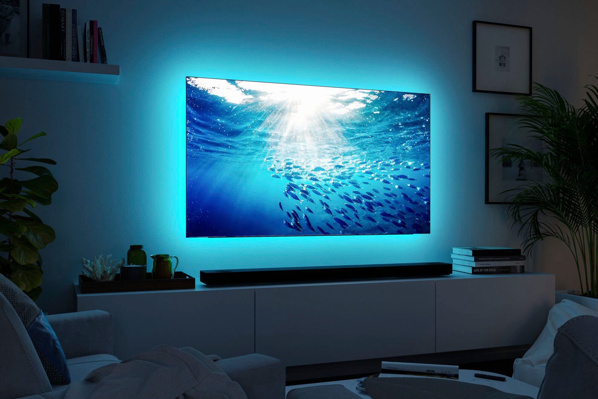 Dynamic 25,5W 230lm/m 1-flammig, Paulmann Zoll 230lm/m, 75 Basisset 250 LED-Streifen Comfort 5,1m TV Basisset, RGB MaxLED 25,5W